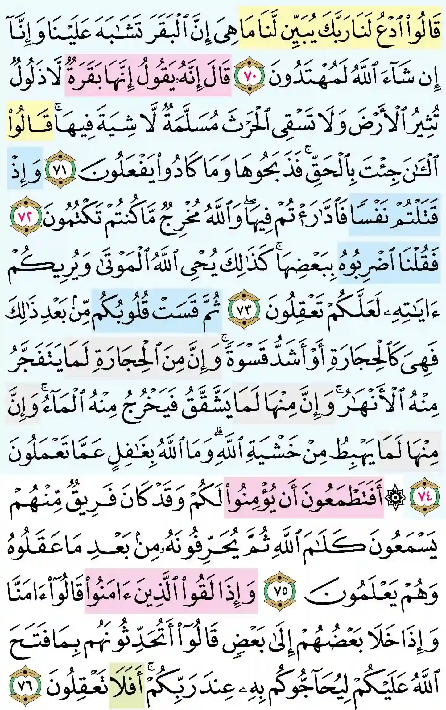 صفحة 11