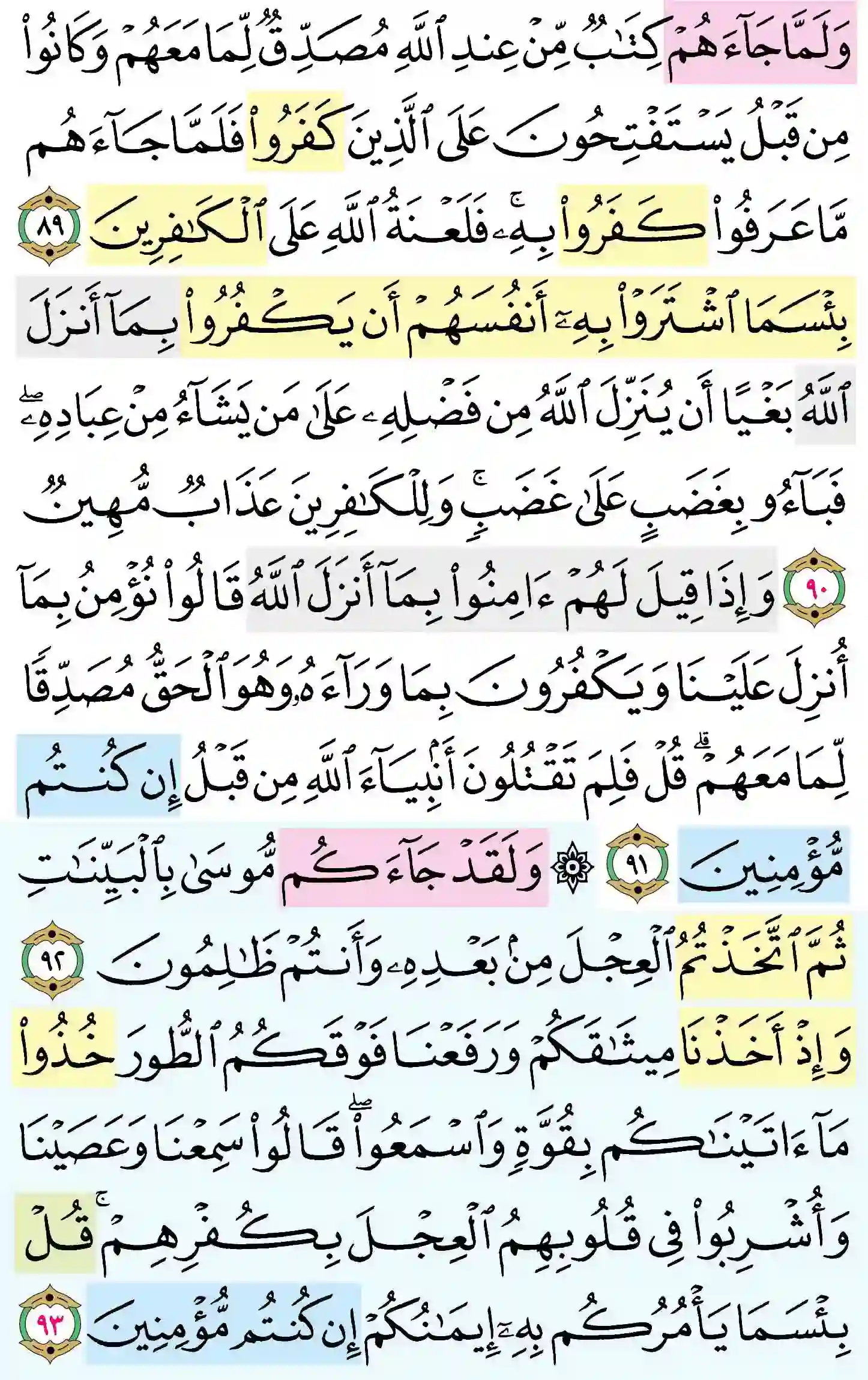 صفحة 14