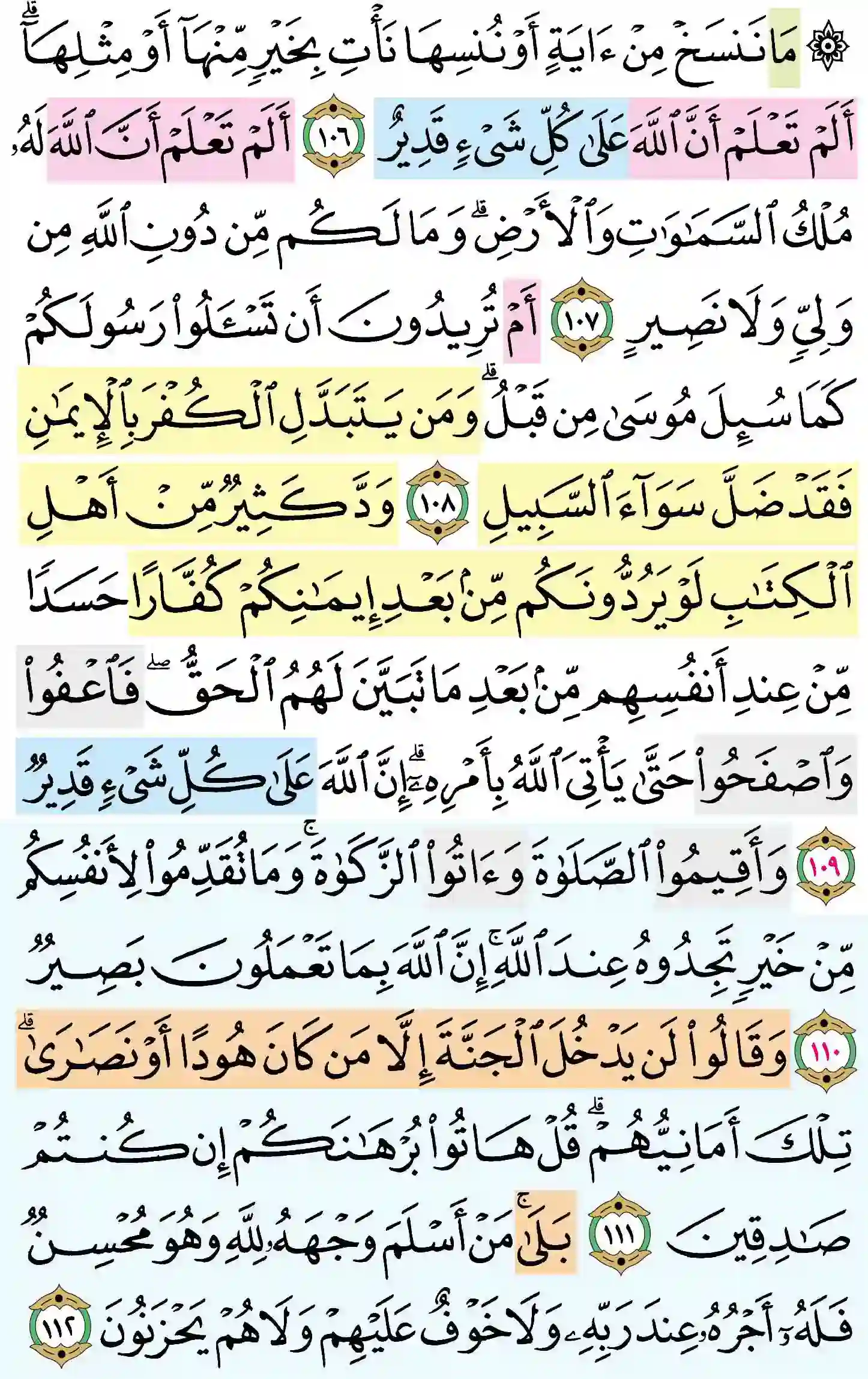صفحة 17