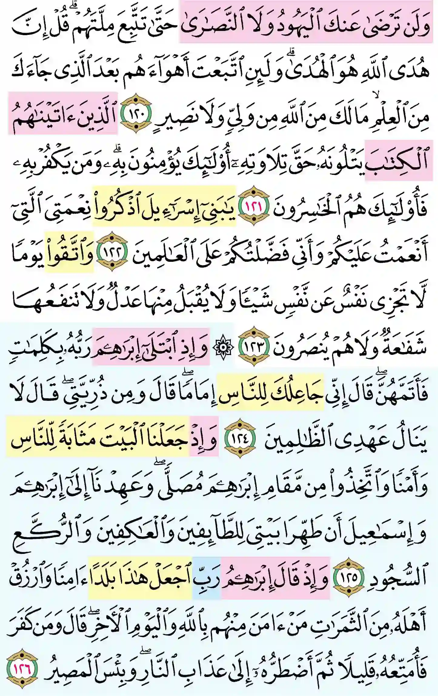 صفحة 19