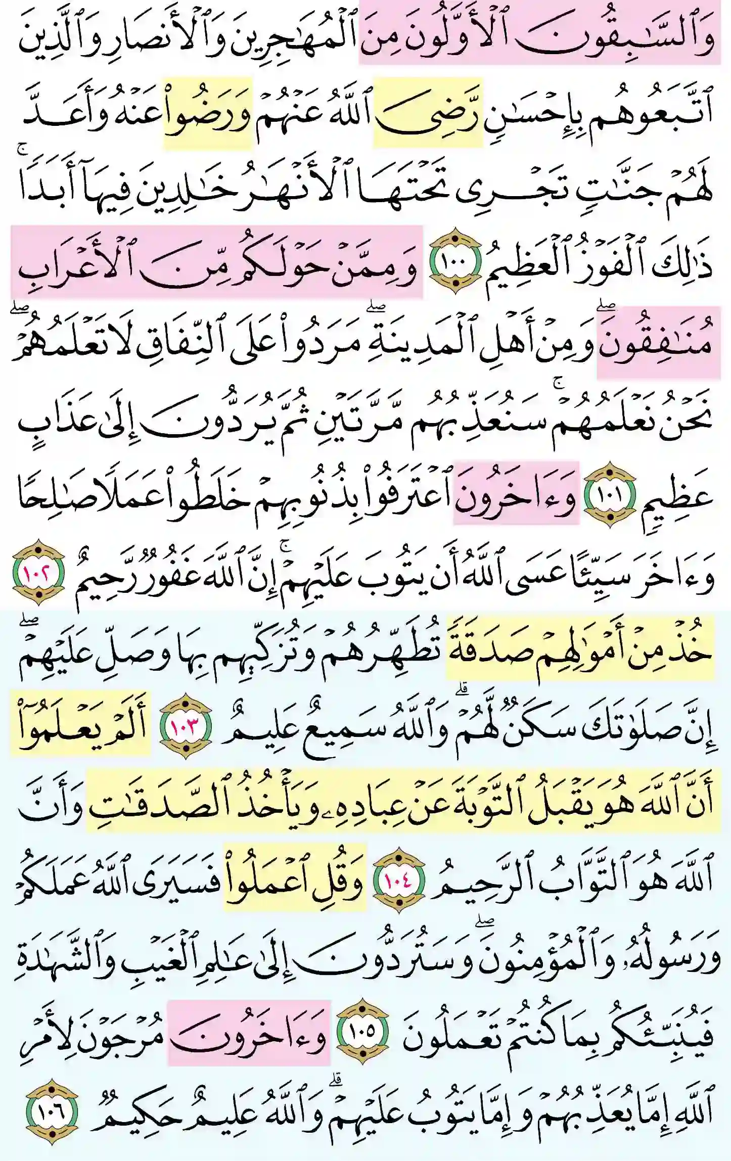 صفحة 203
