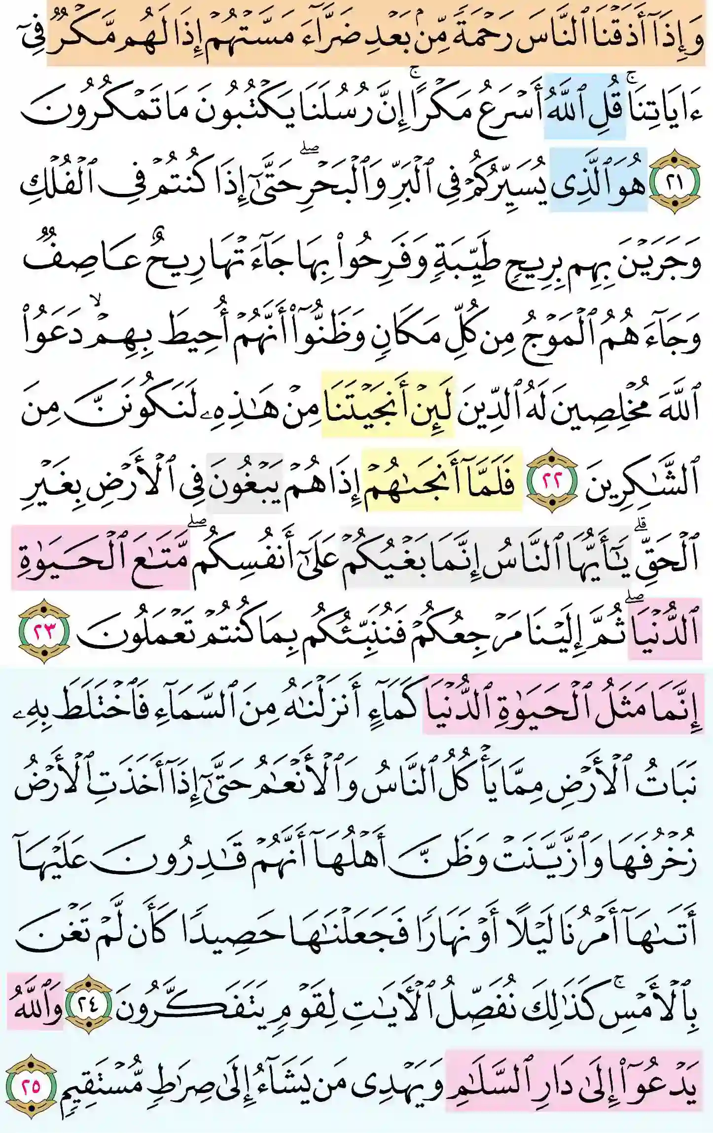 صفحة 211
