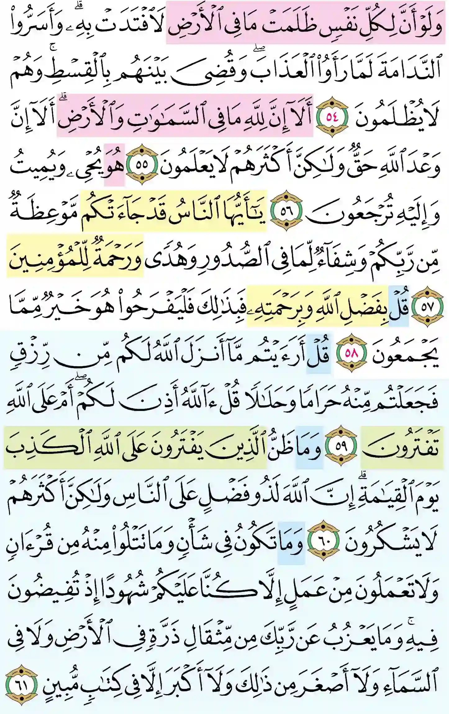 صفحة 215