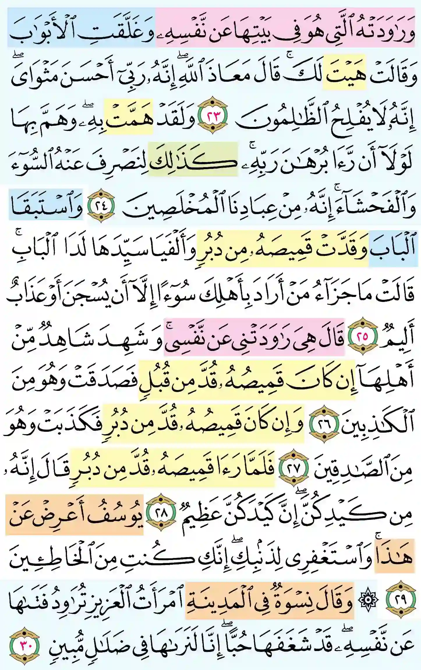 صفحة 238
