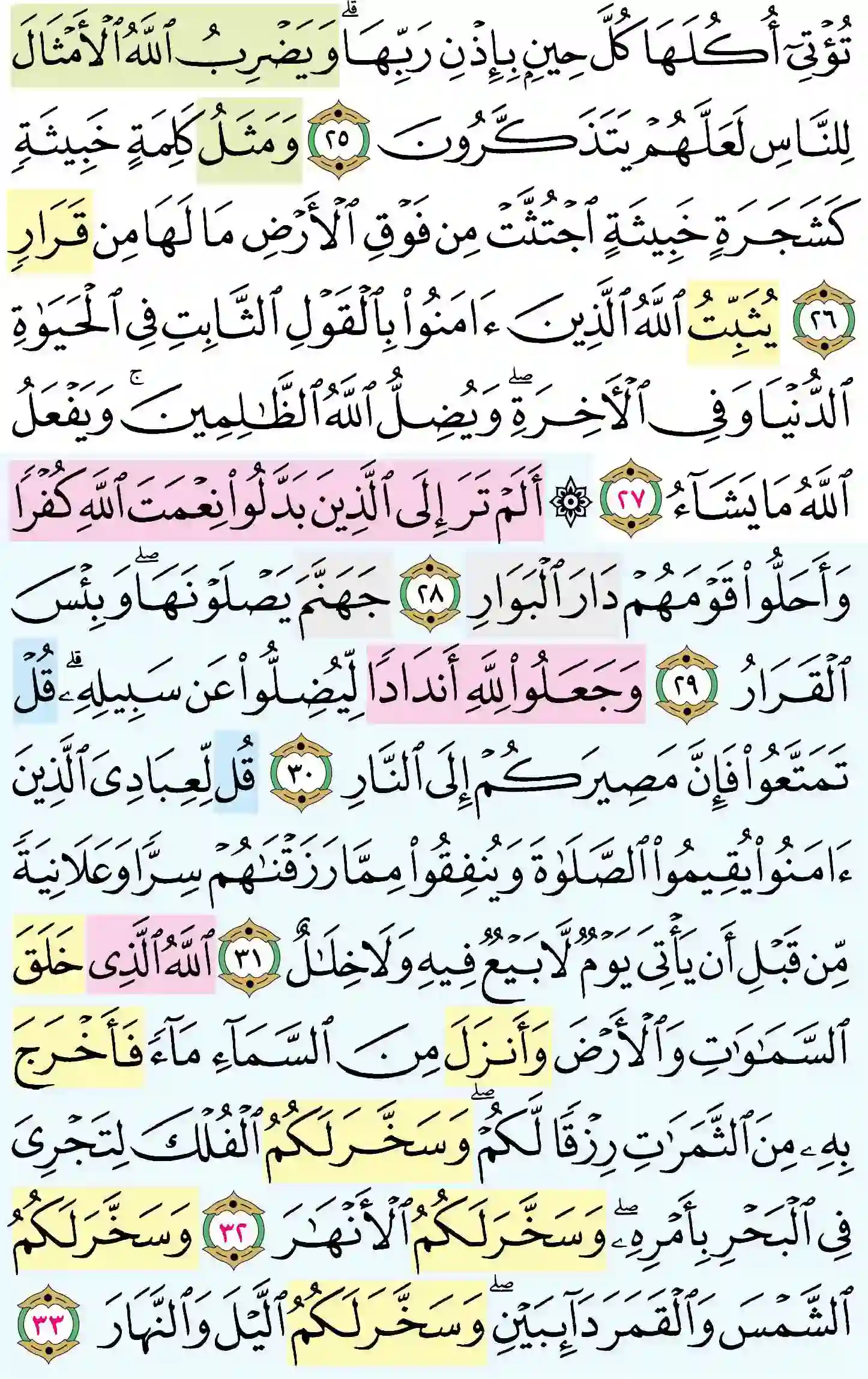 صفحة 259