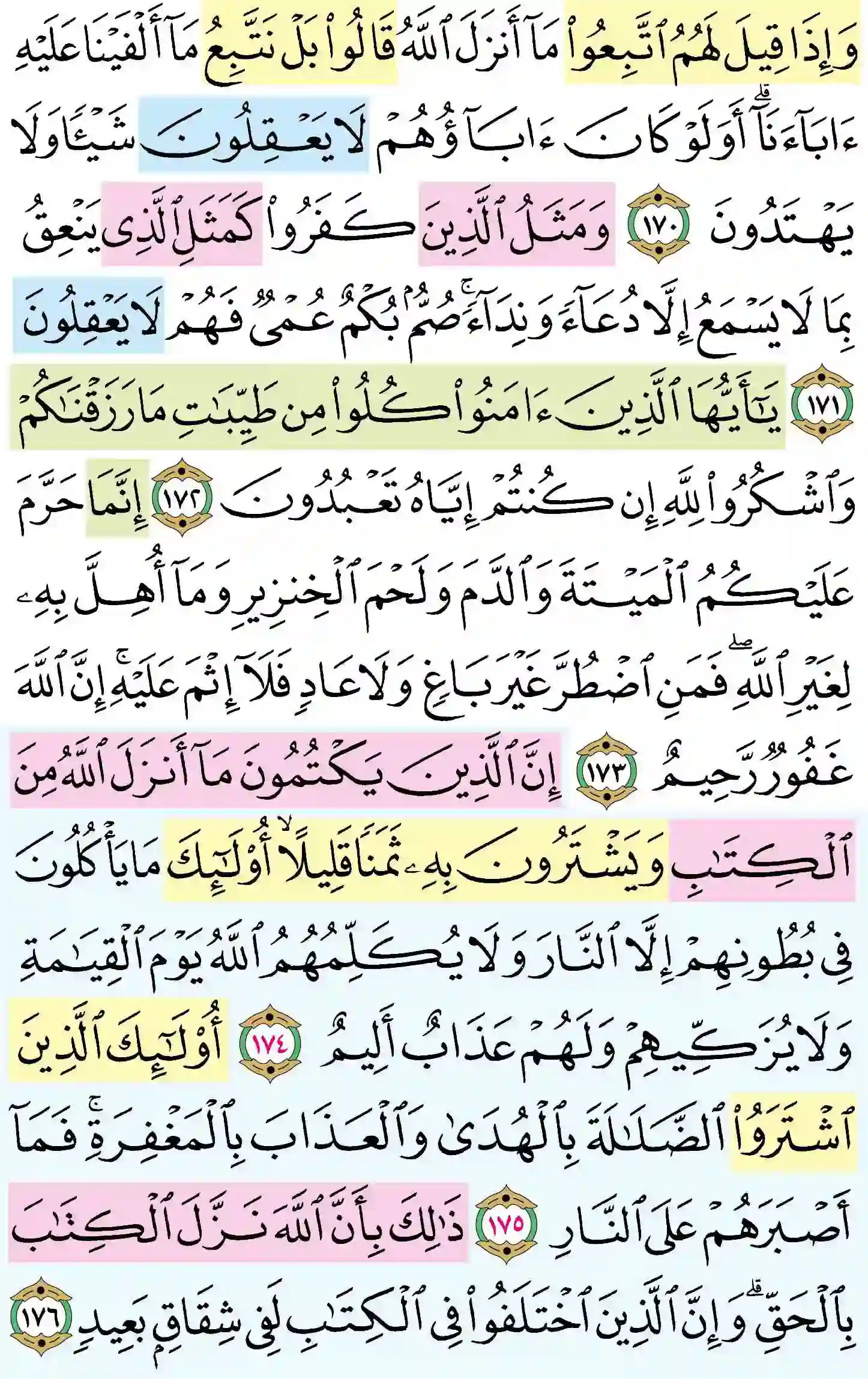 صفحة 26