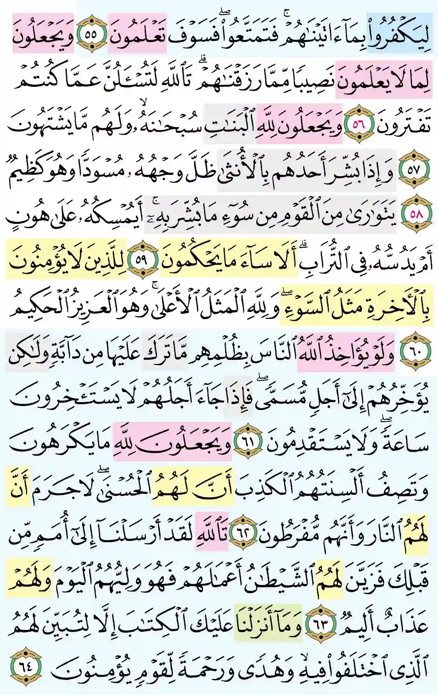 صفحة 273