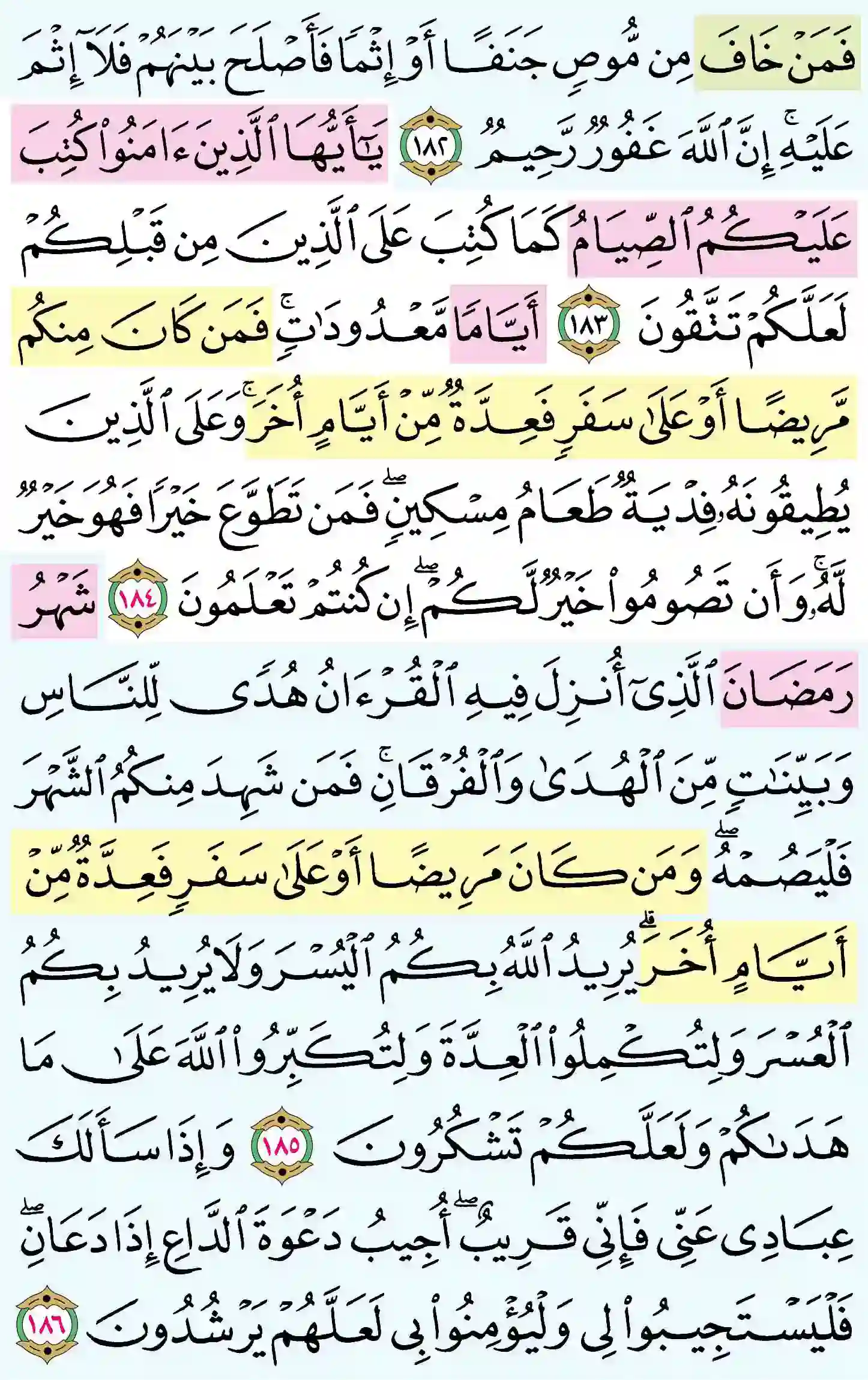 صفحة 28