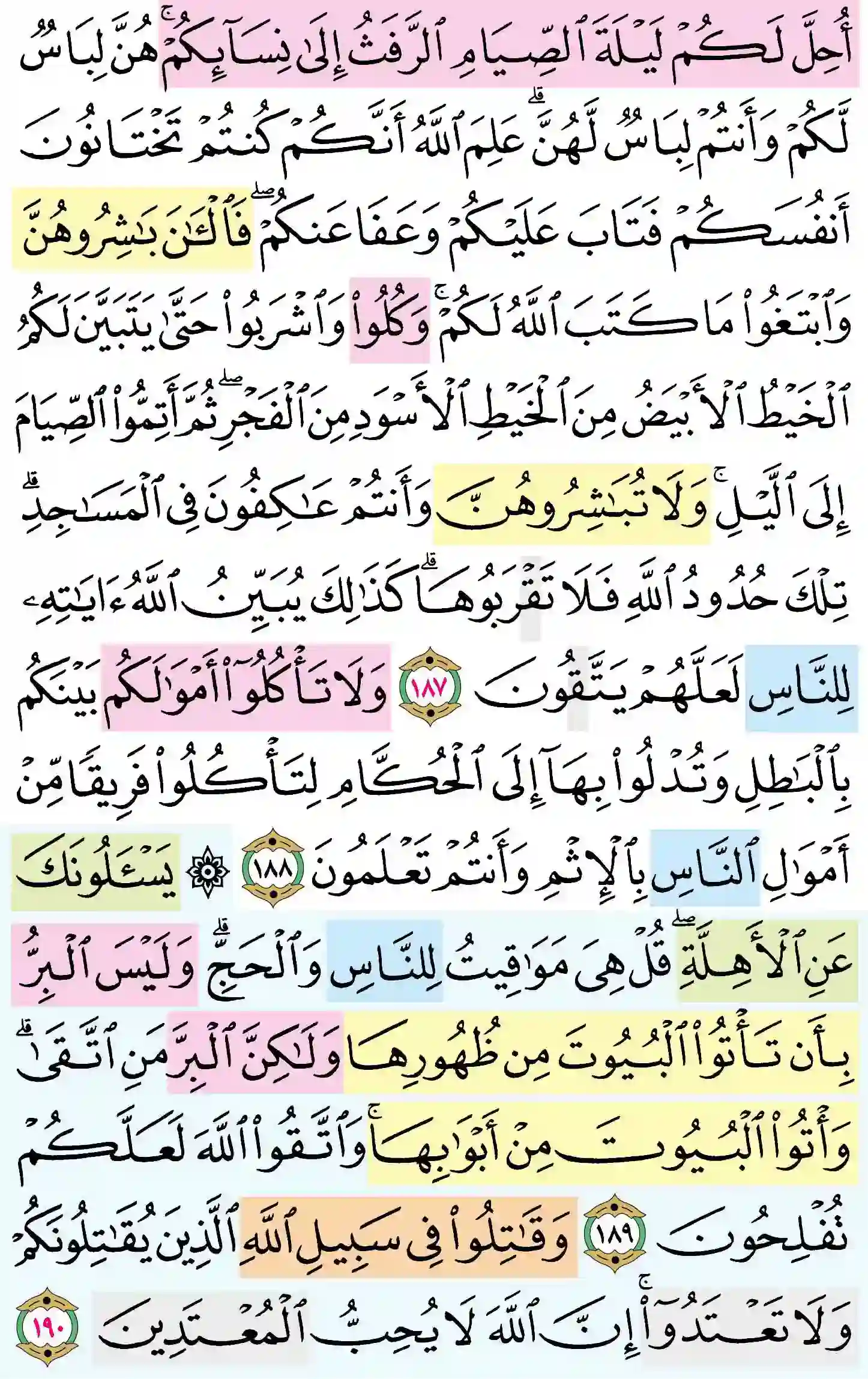 صفحة 29