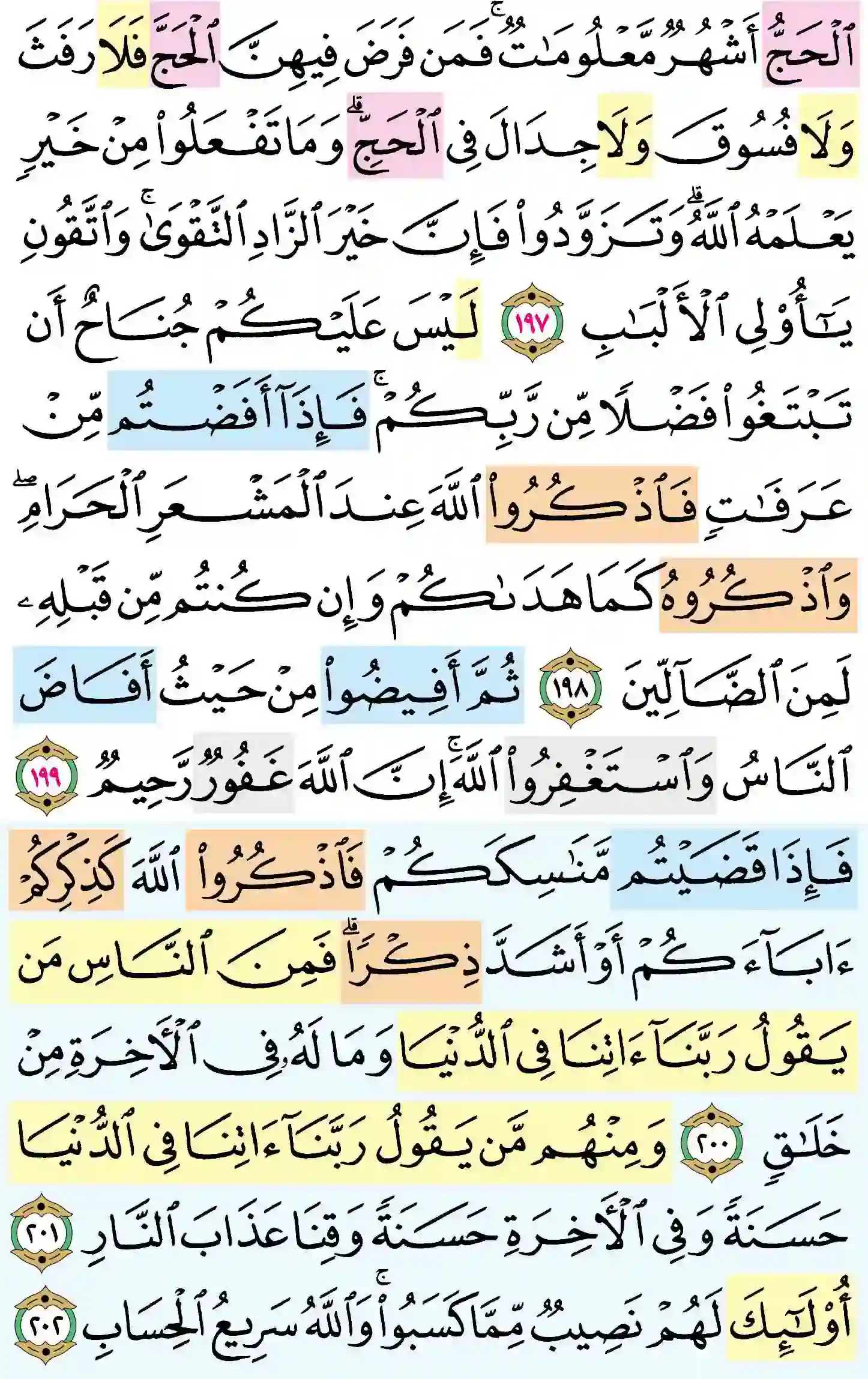صفحة 31