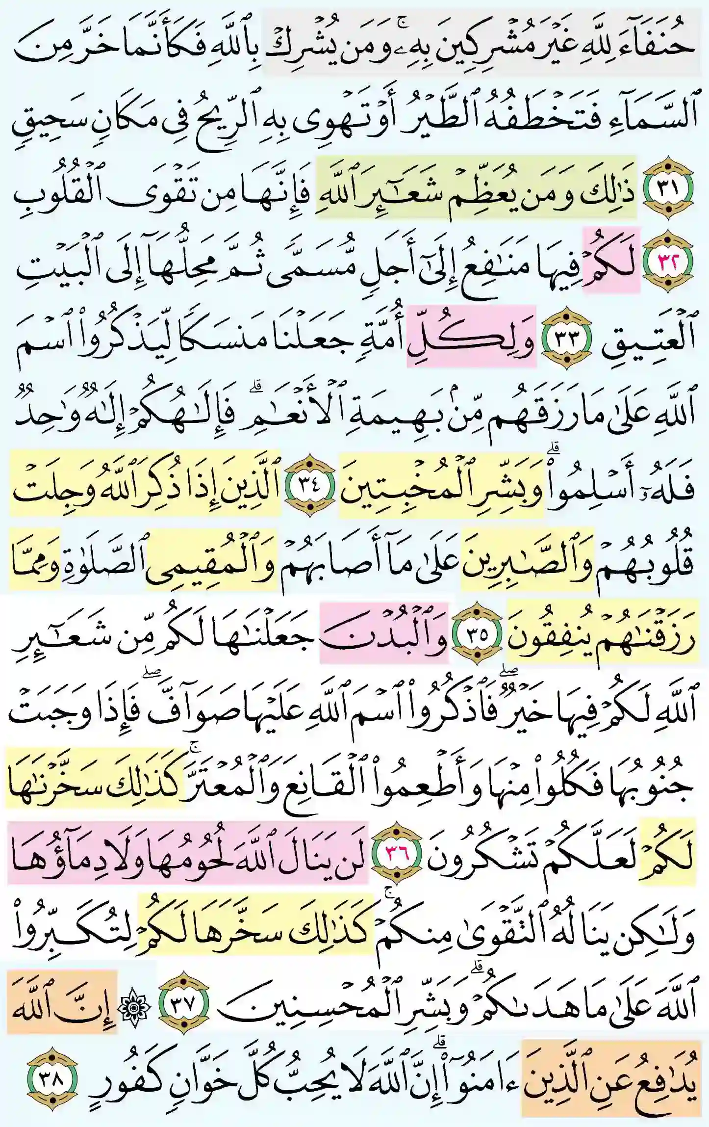 صفحة 336