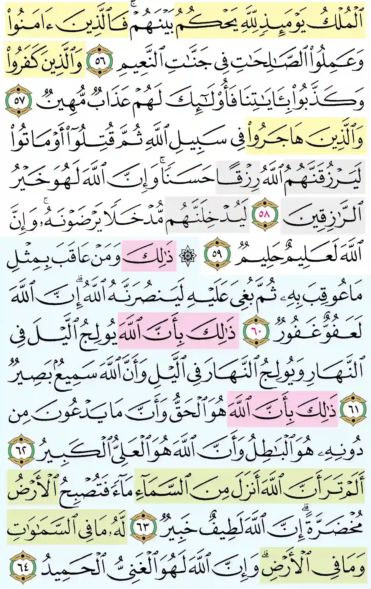 صفحة 339