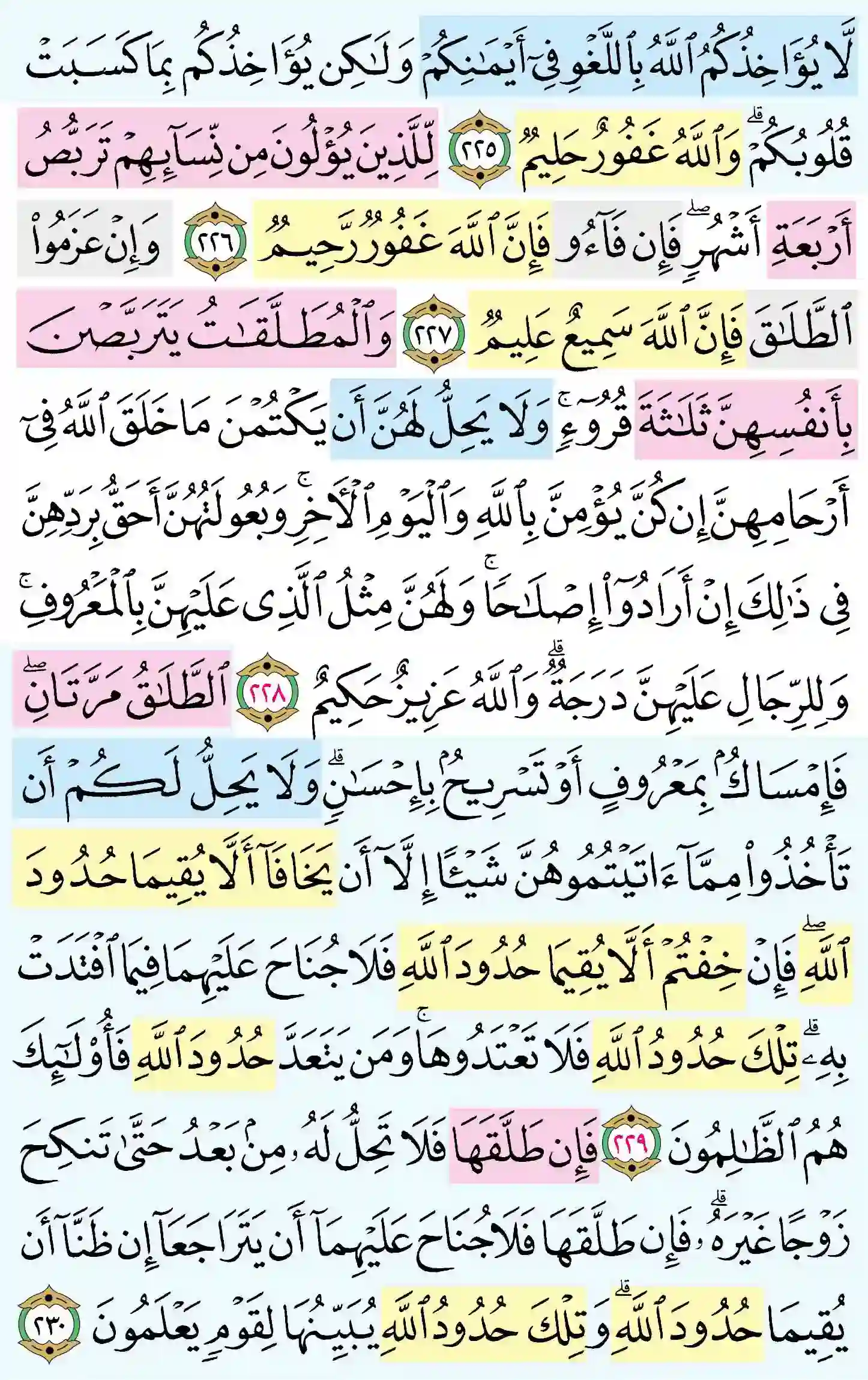 صفحة 36