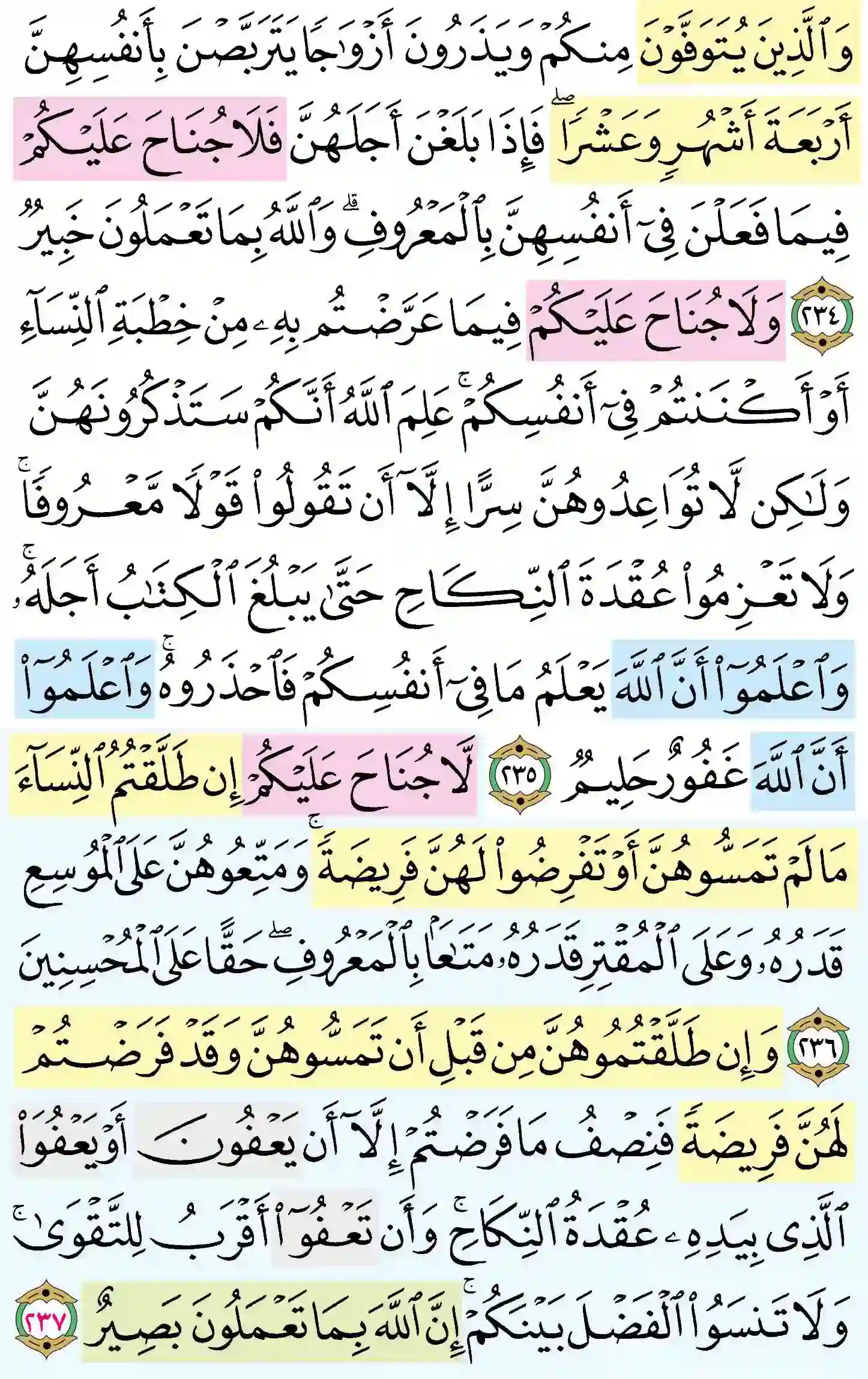 صفحة 38