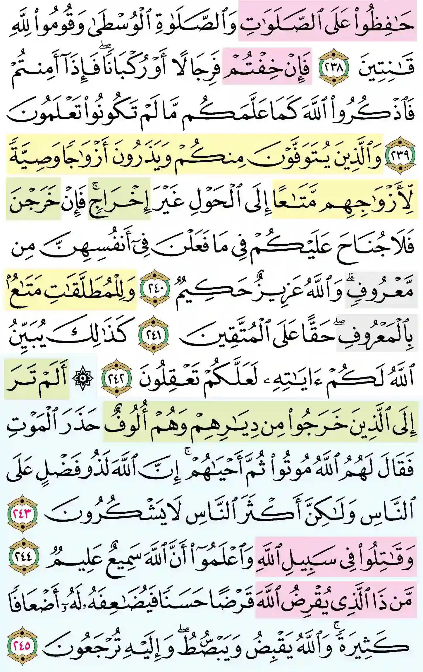 صفحة 39