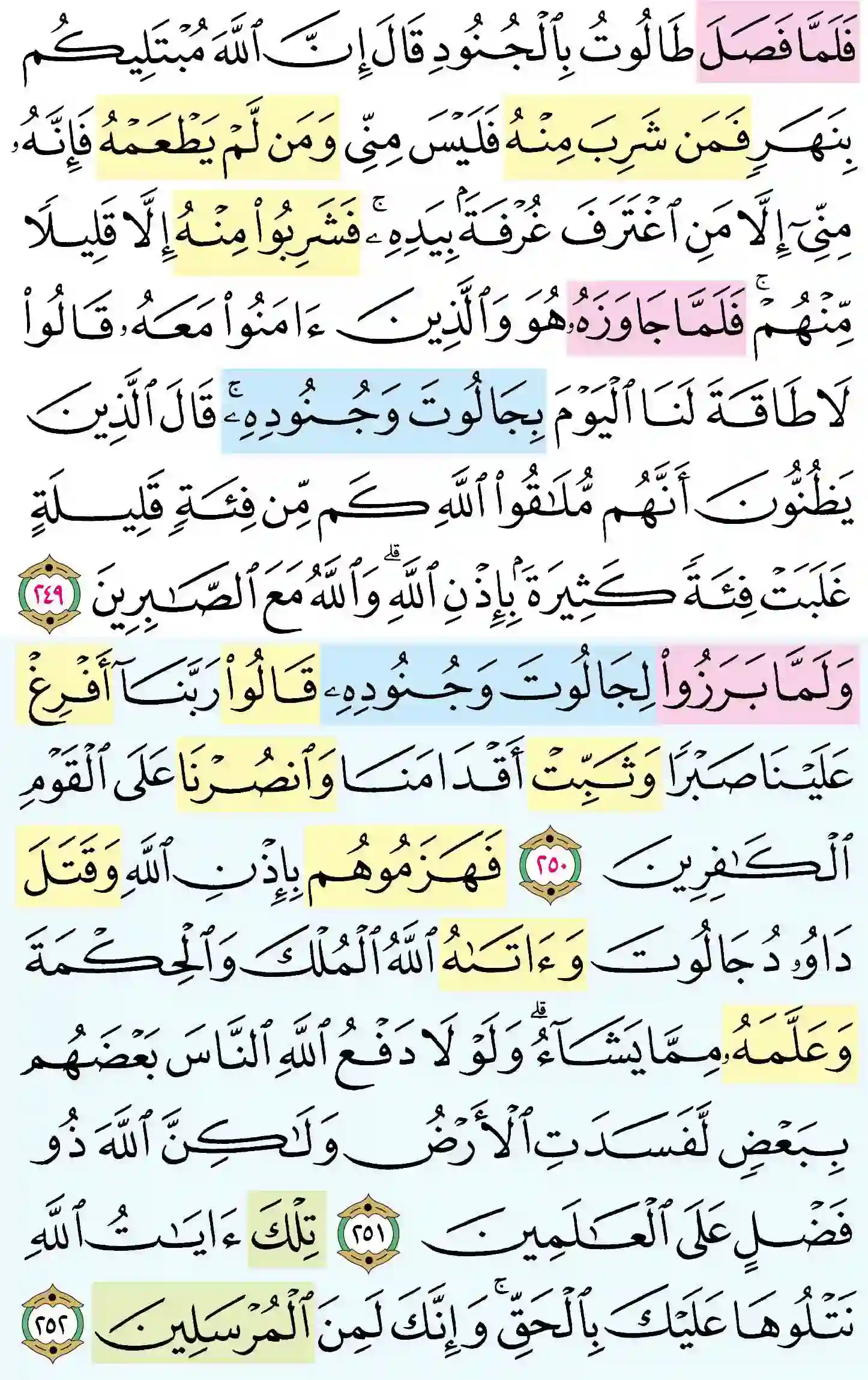 صفحة 41