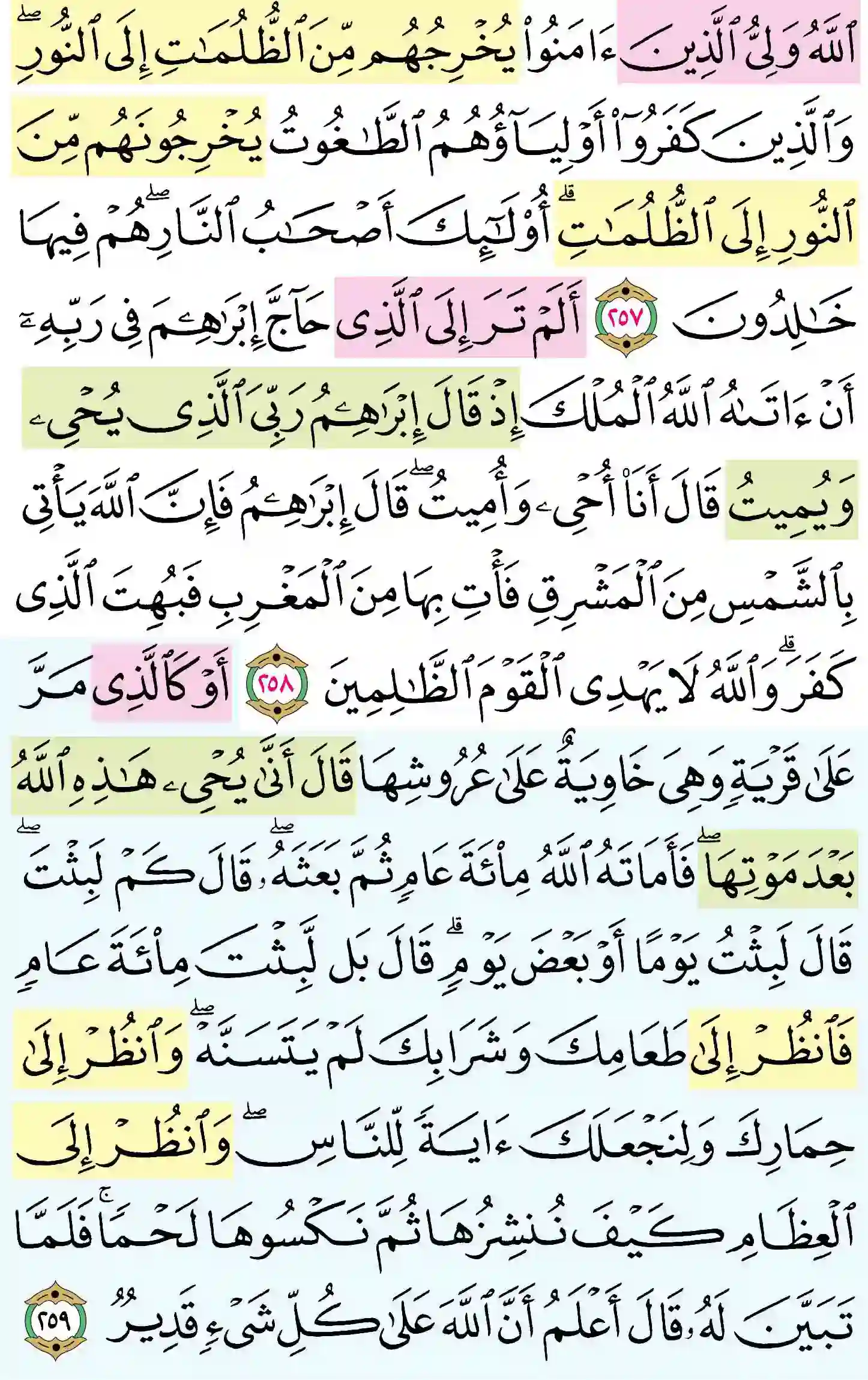 صفحة 43