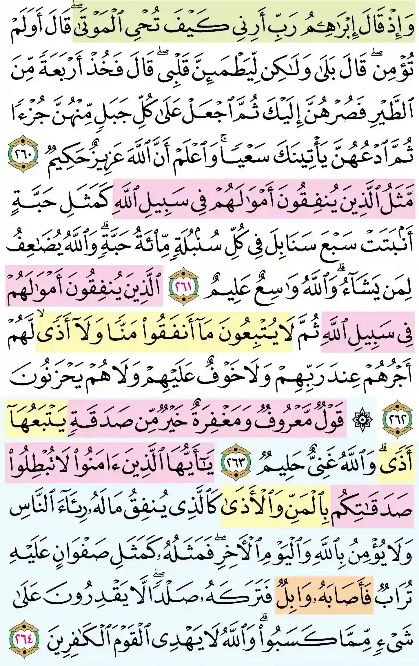 صفحة 44