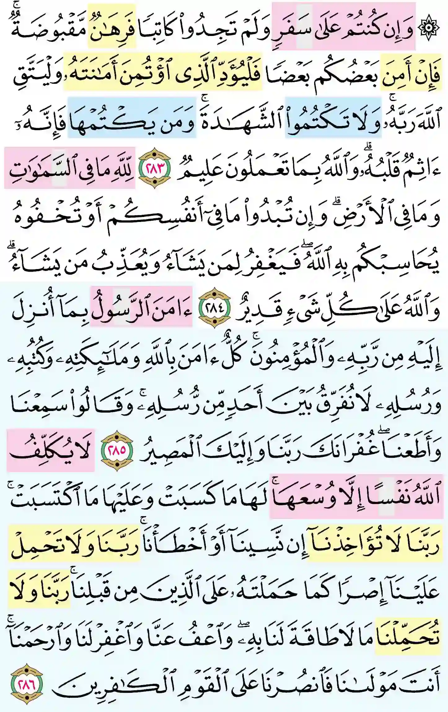 صفحة 49