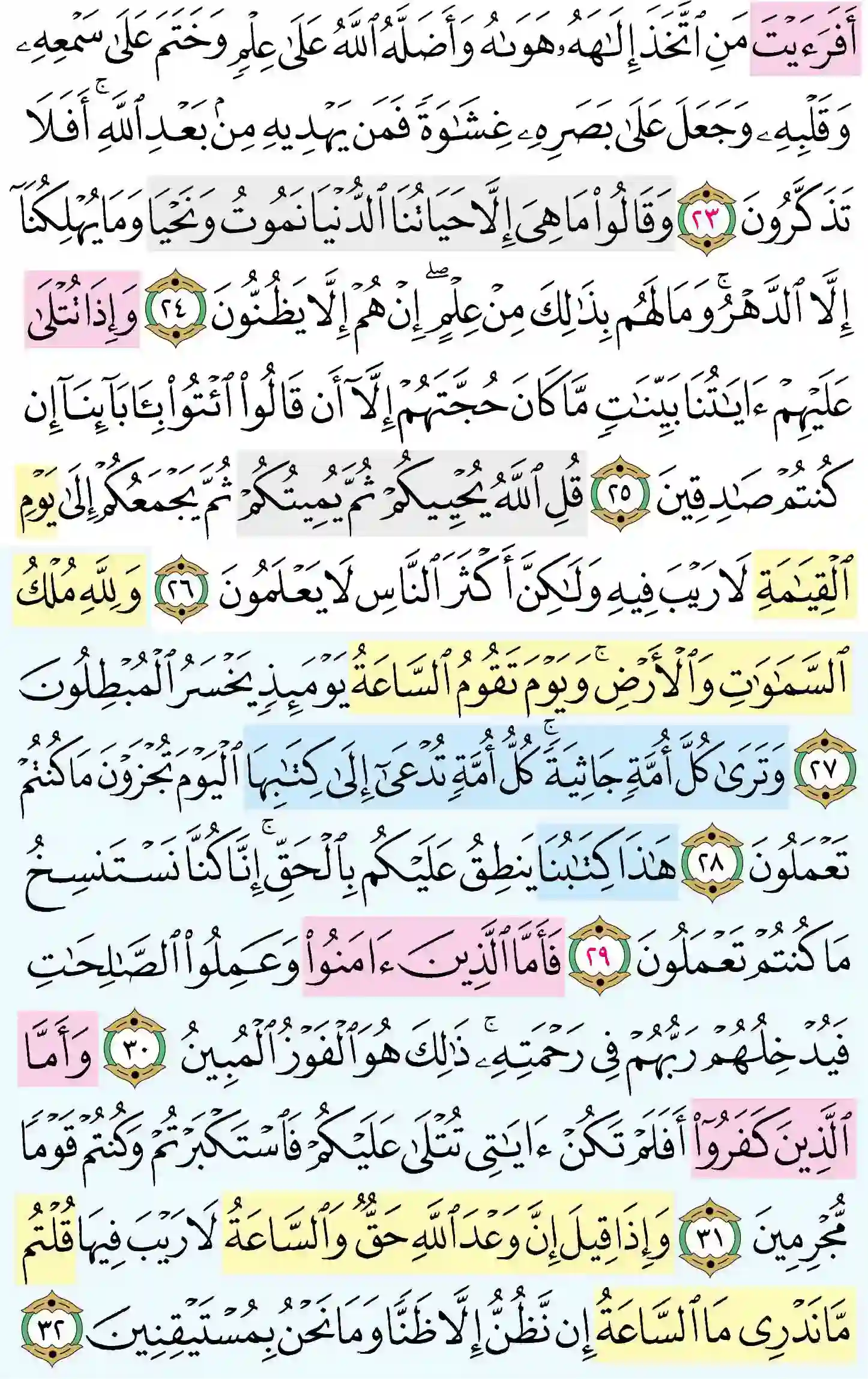 صفحة 501