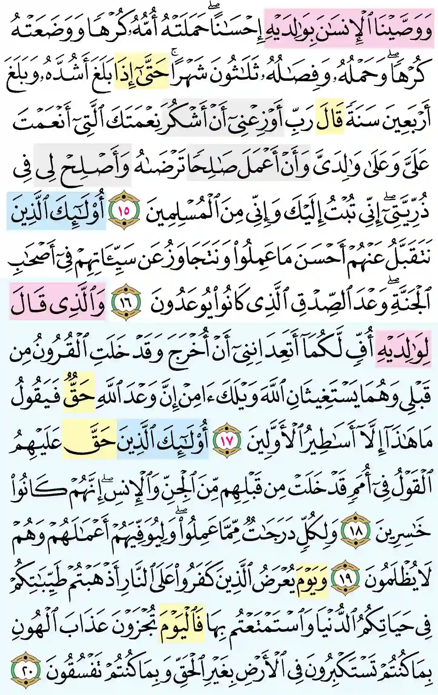 صفحة 504
