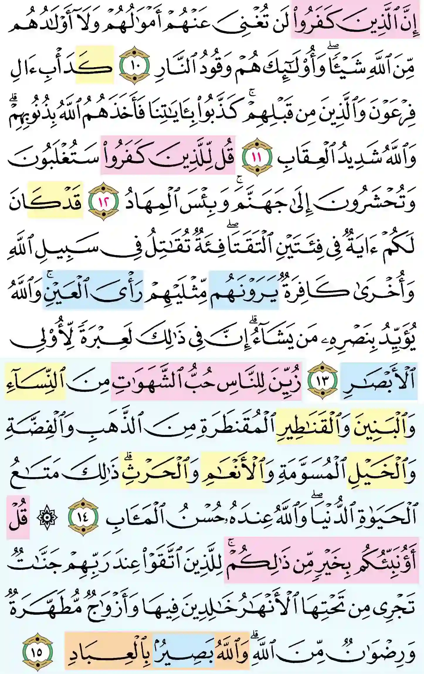 صفحة 51