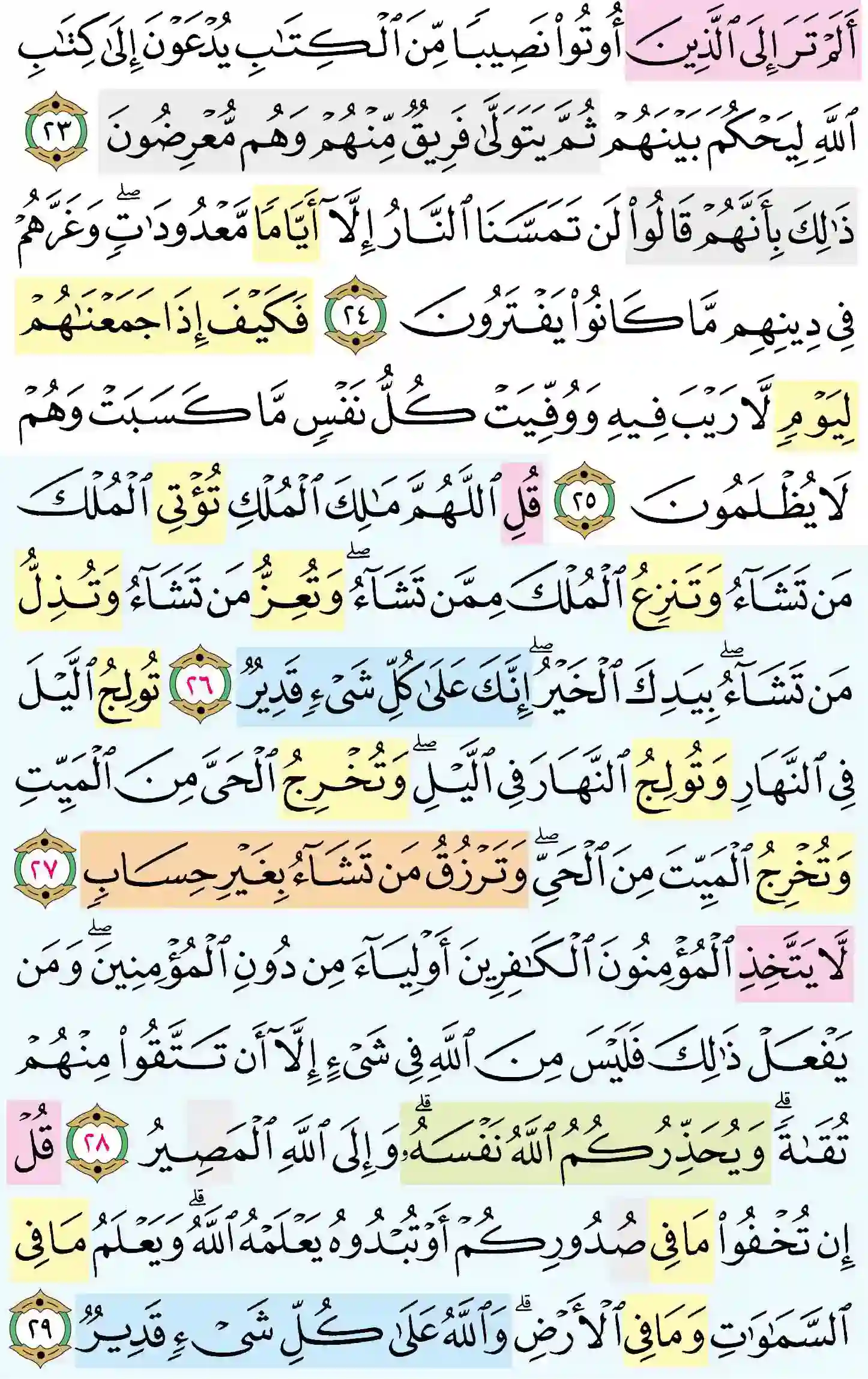 صفحة 53