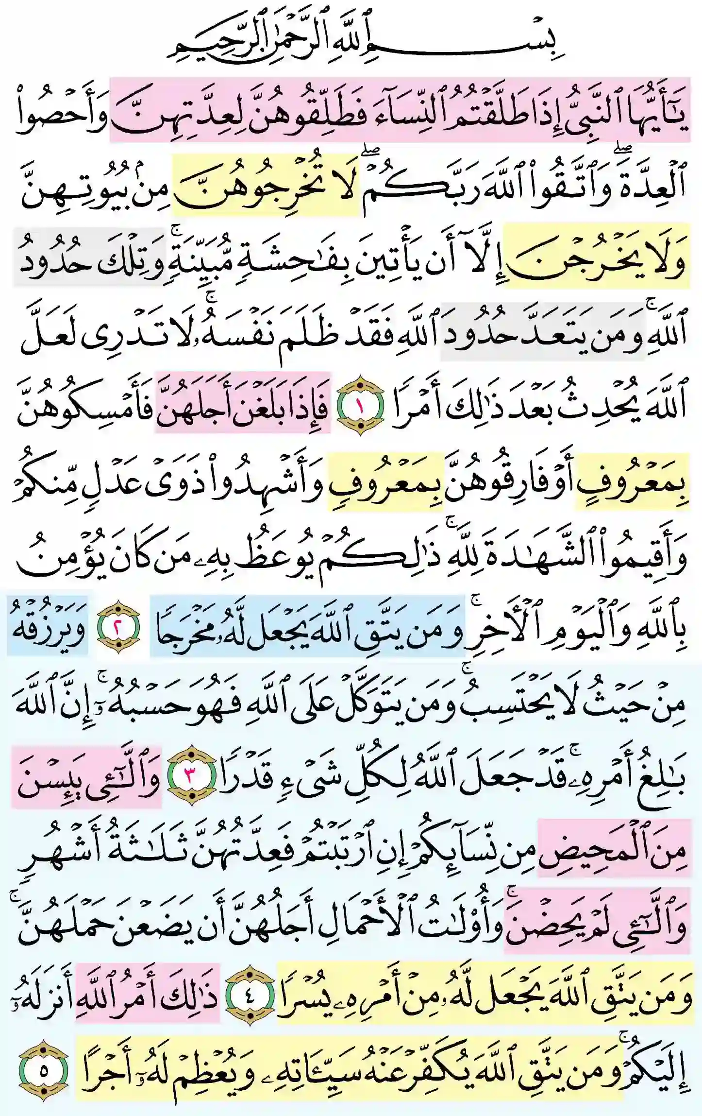صفحة 558