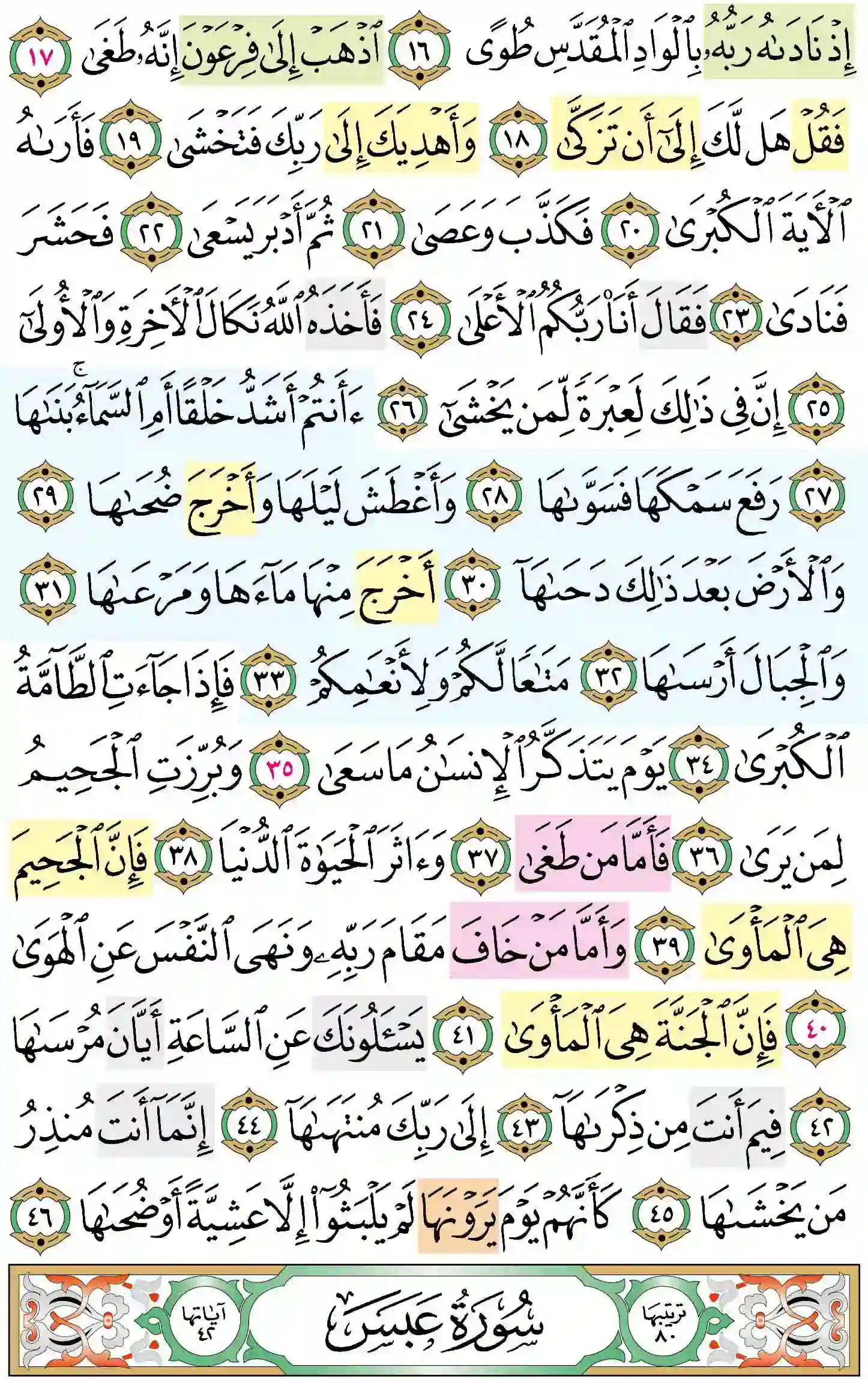 صفحة 584