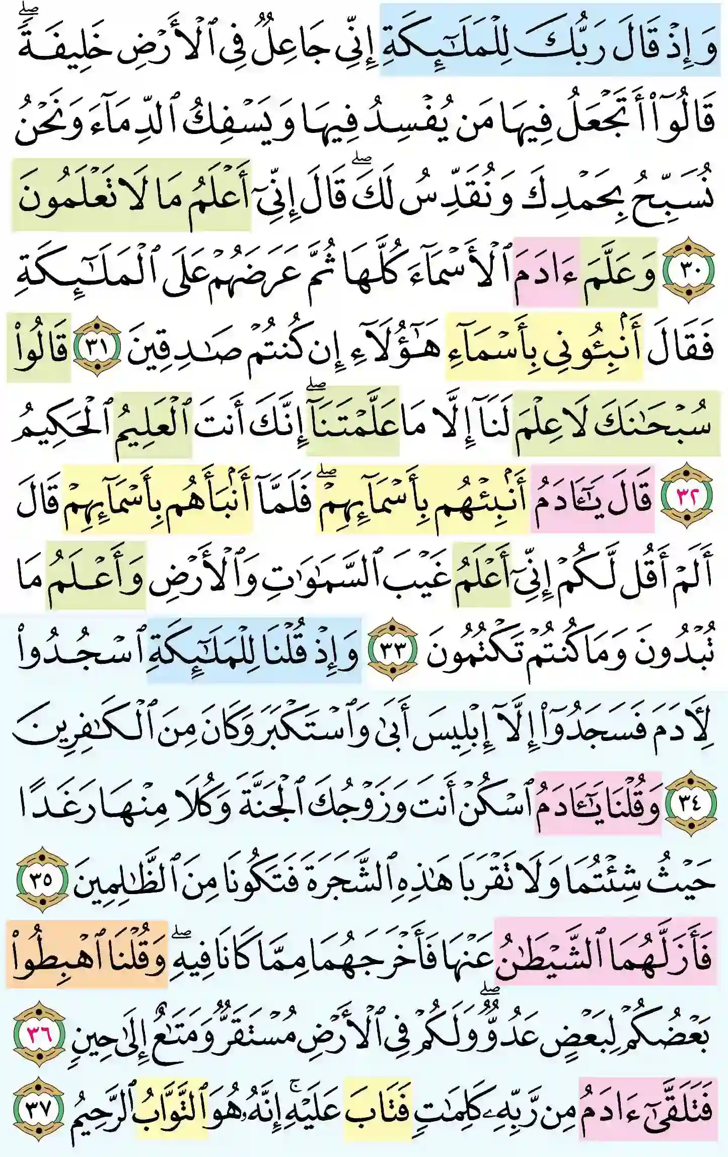 صفحة 6