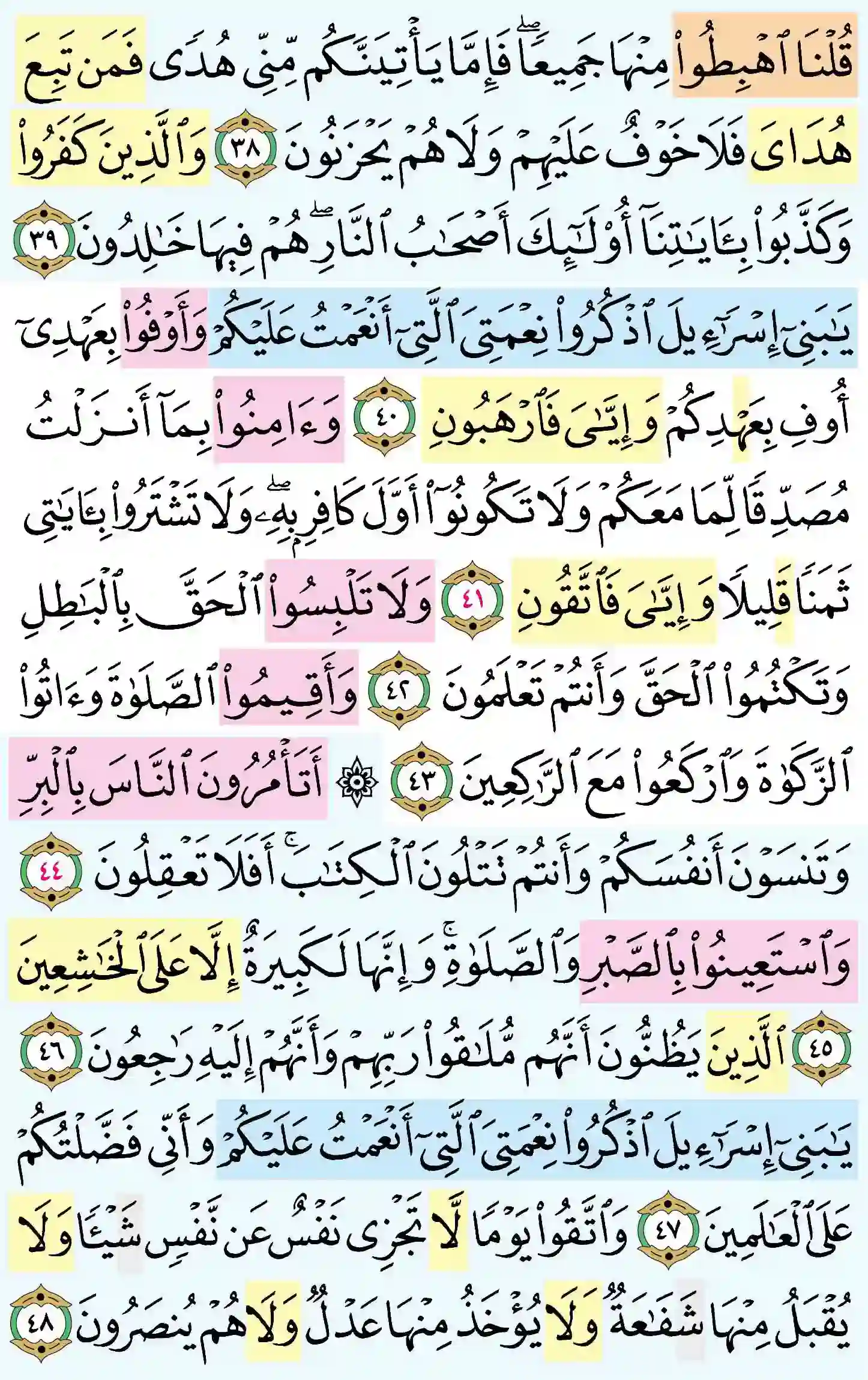 صفحة 7