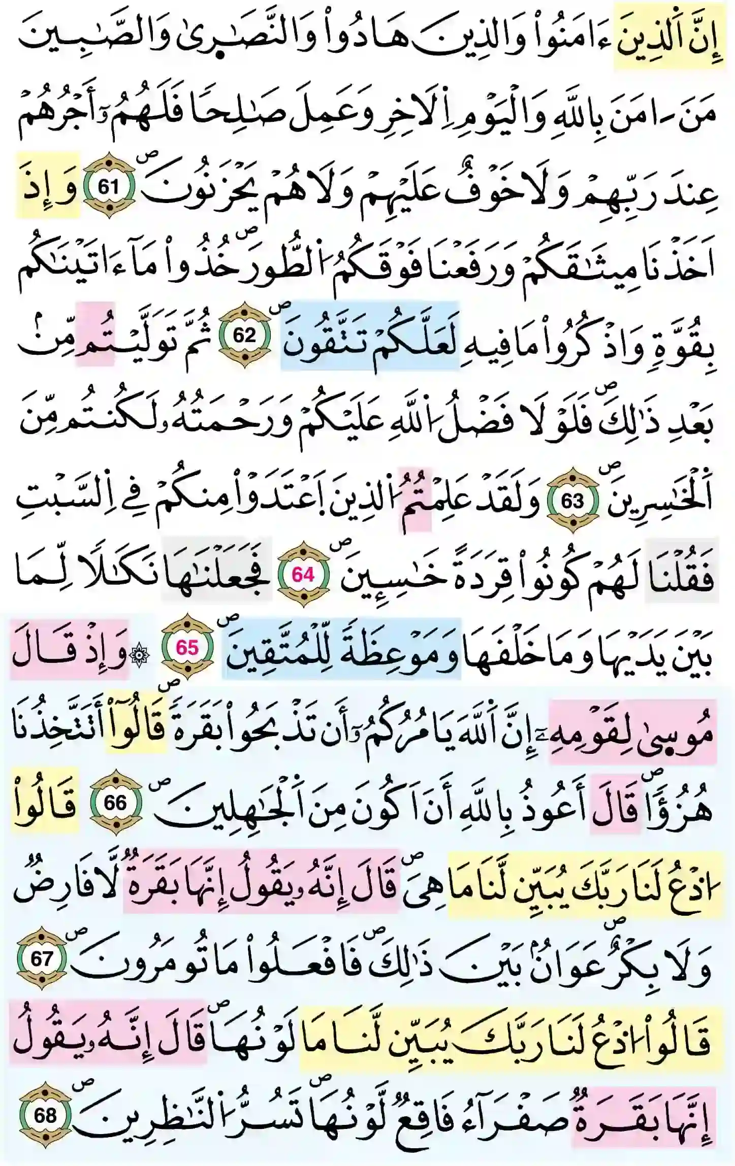 صفحة 10