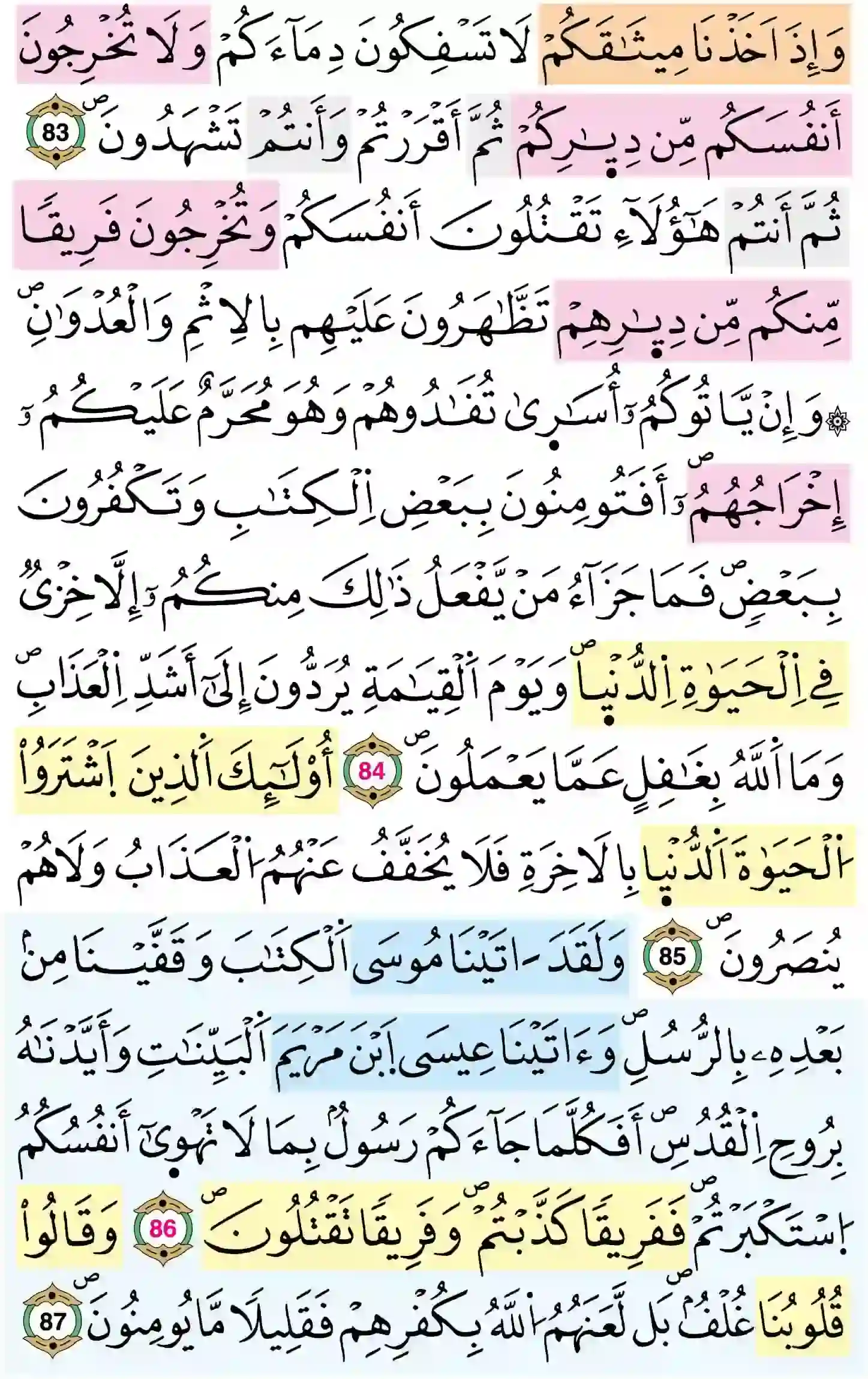 صفحة 13