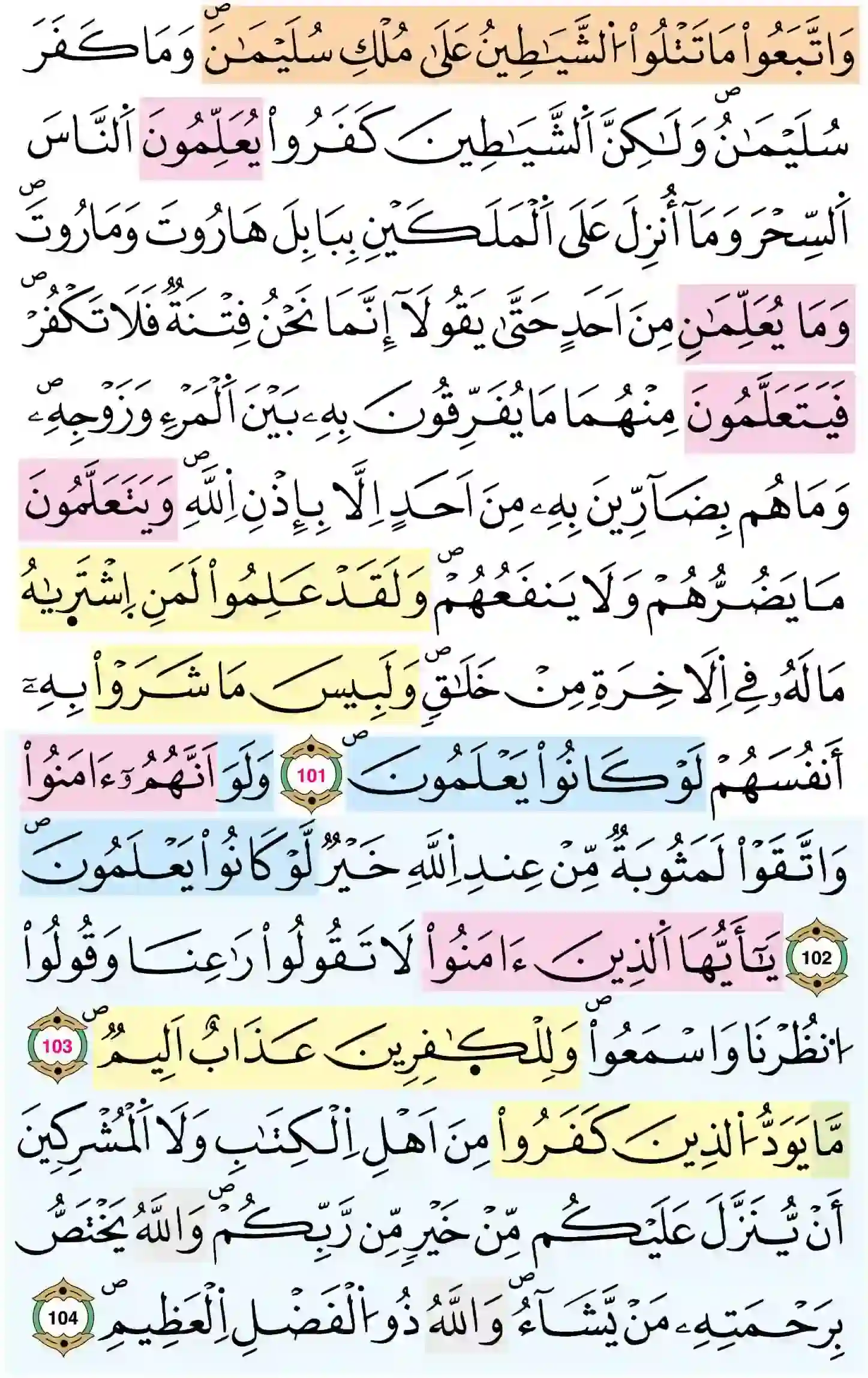 صفحة 16