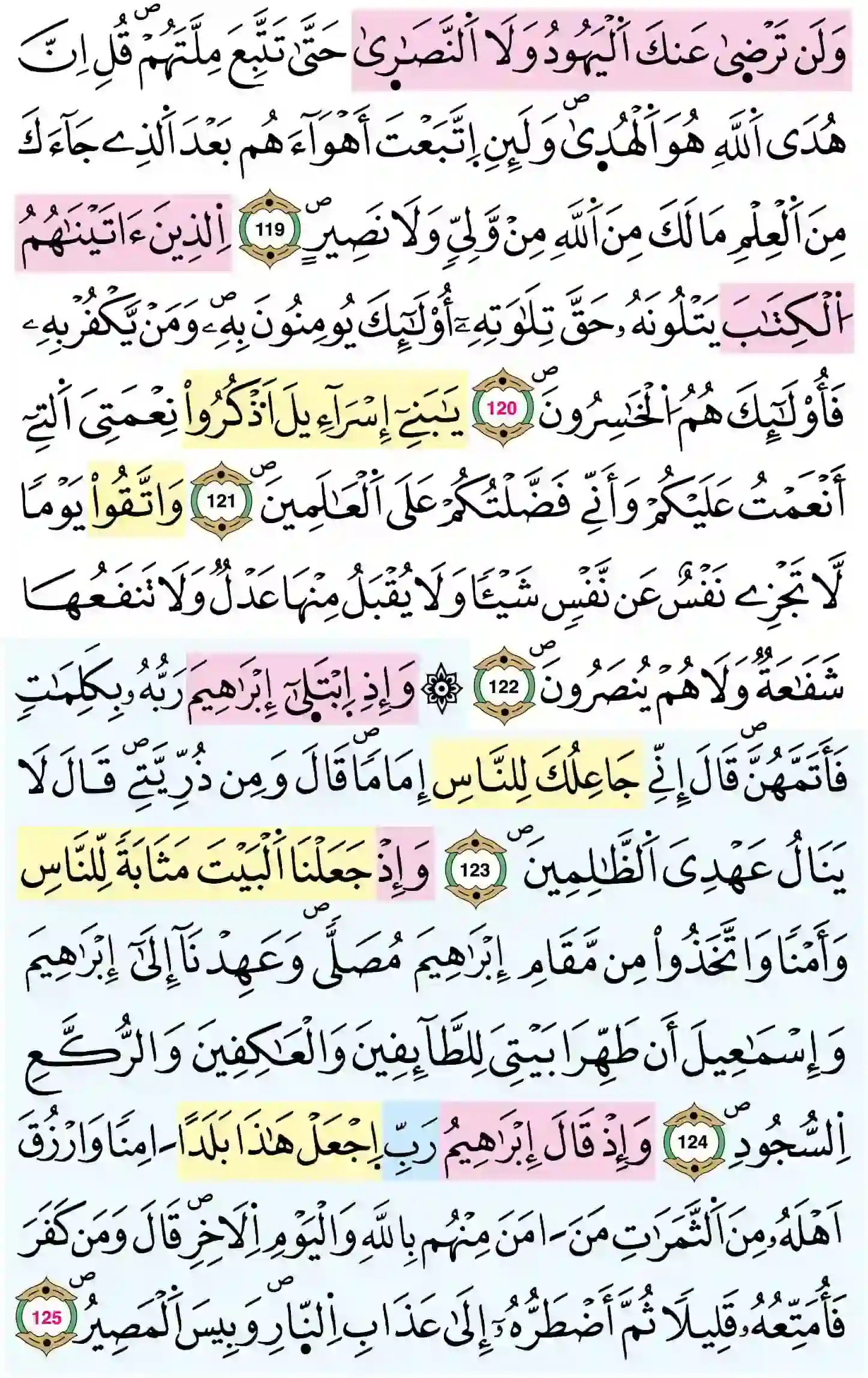 صفحة 19