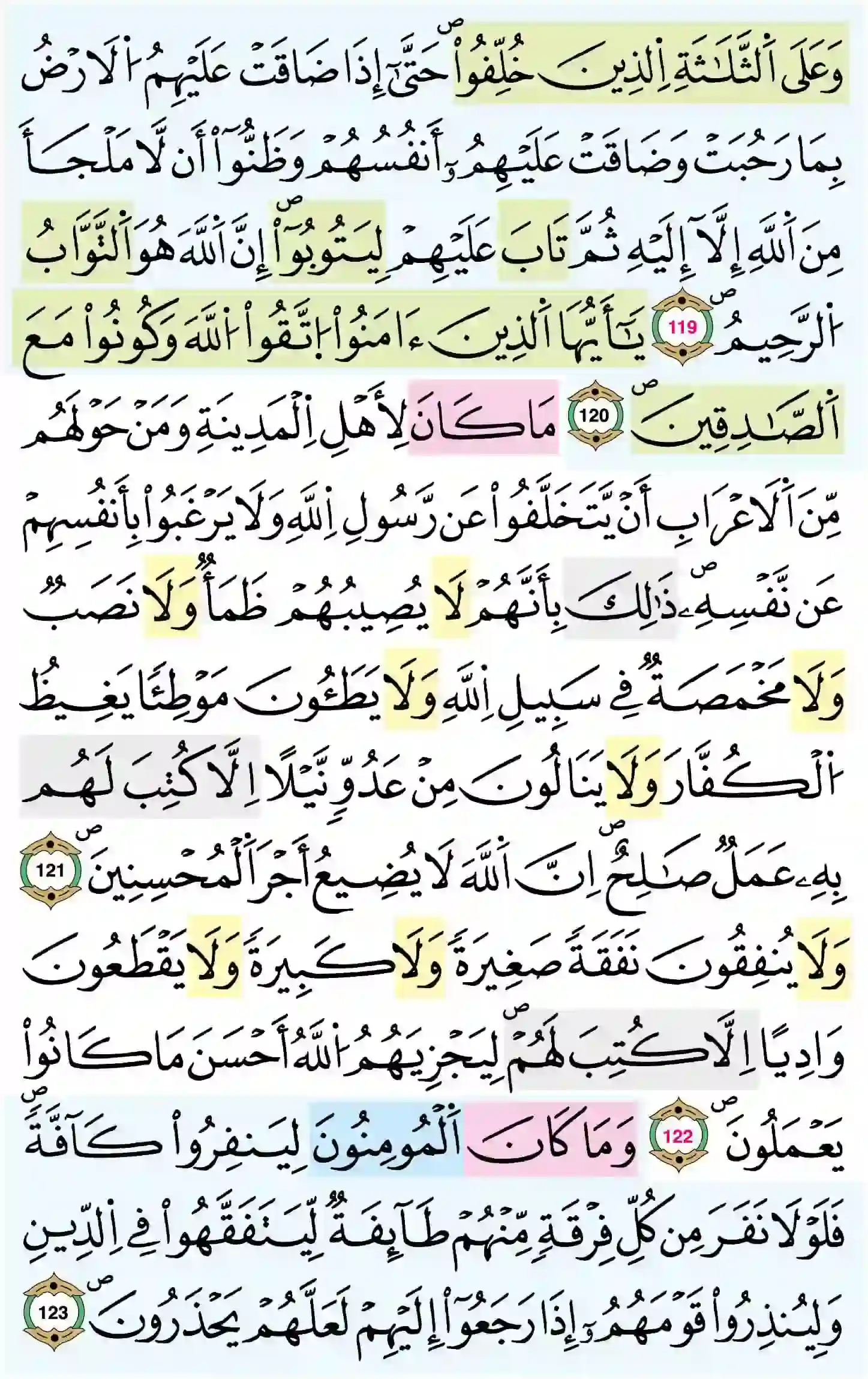 صفحة 206
