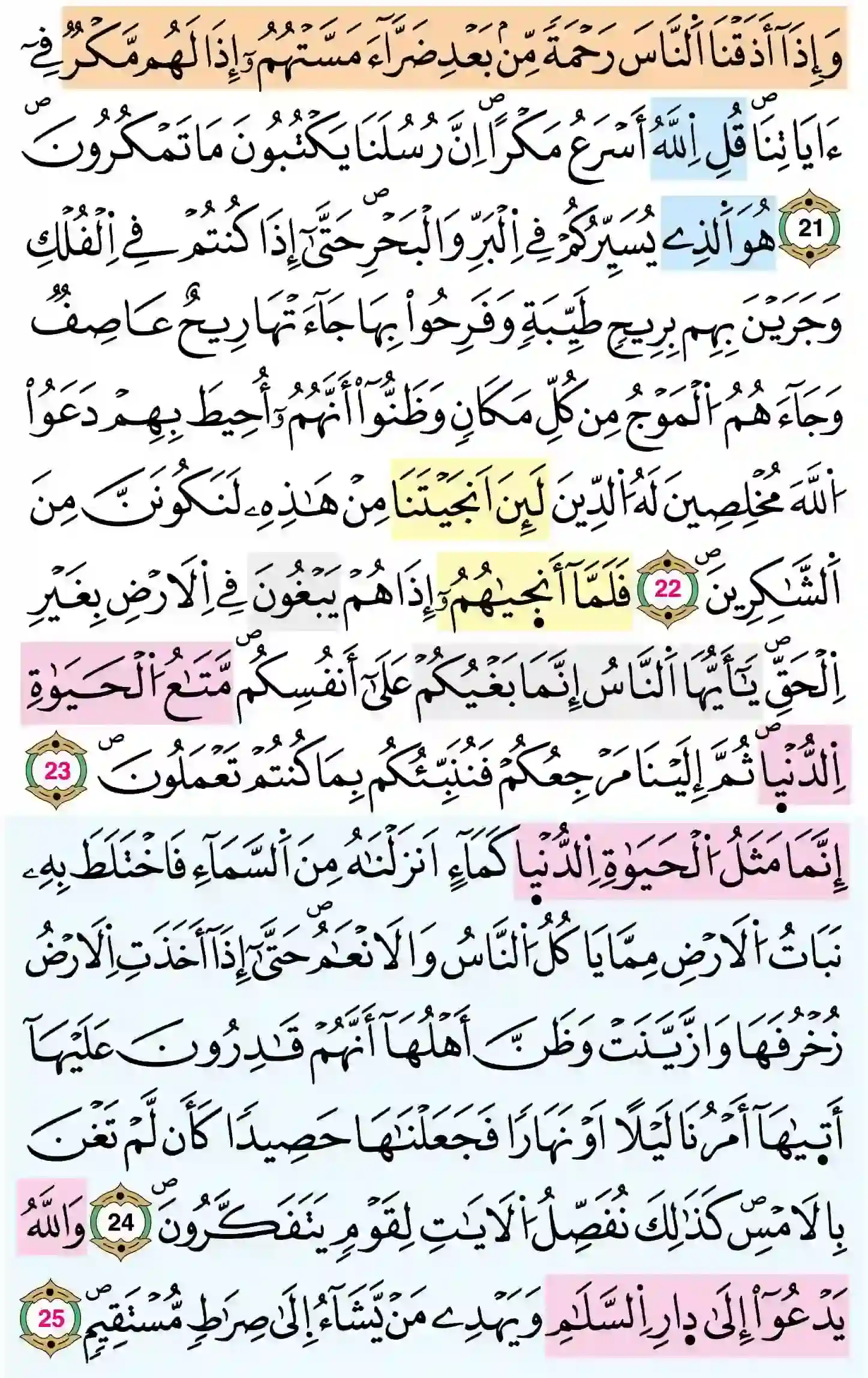 صفحة 211