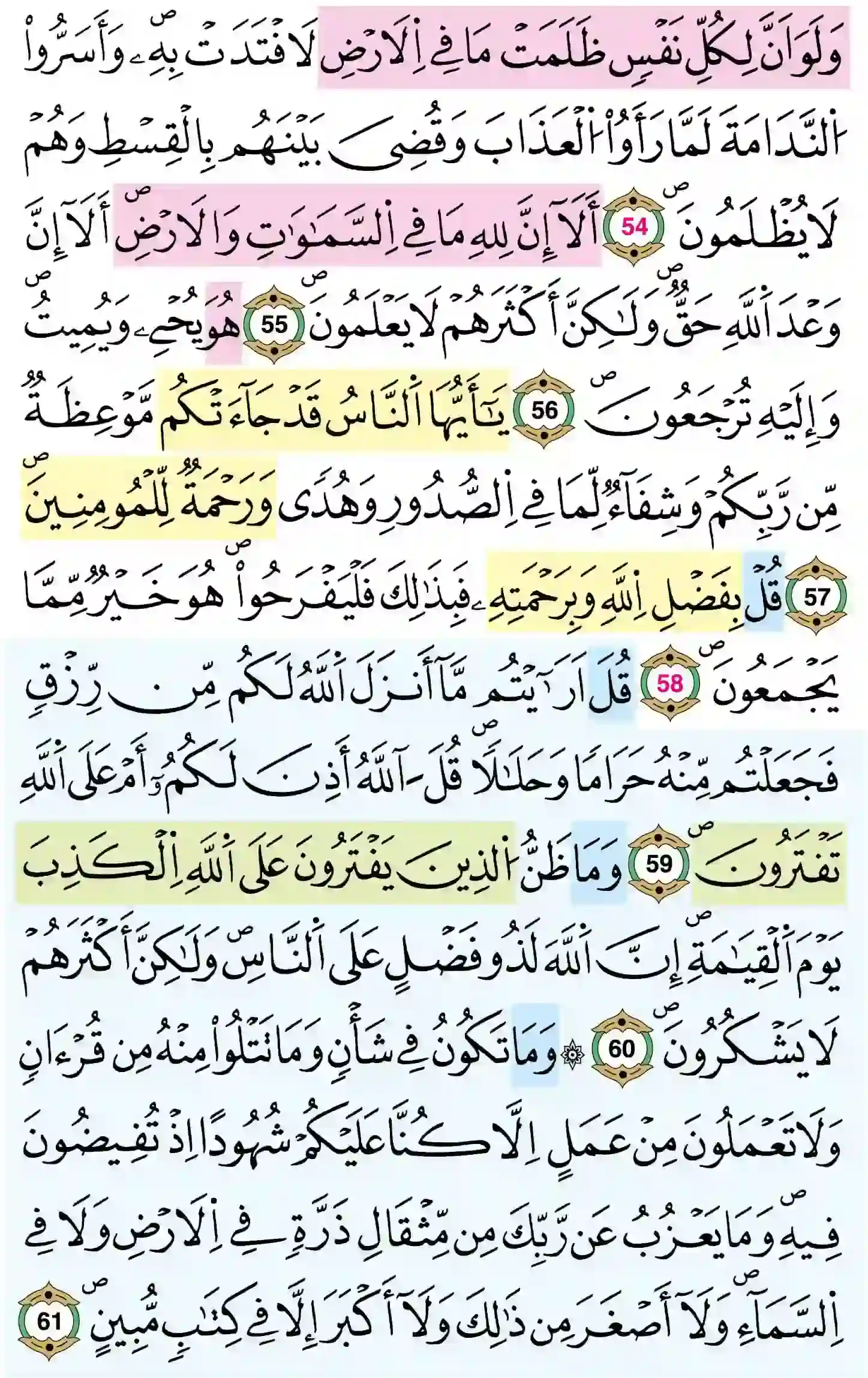 صفحة 215