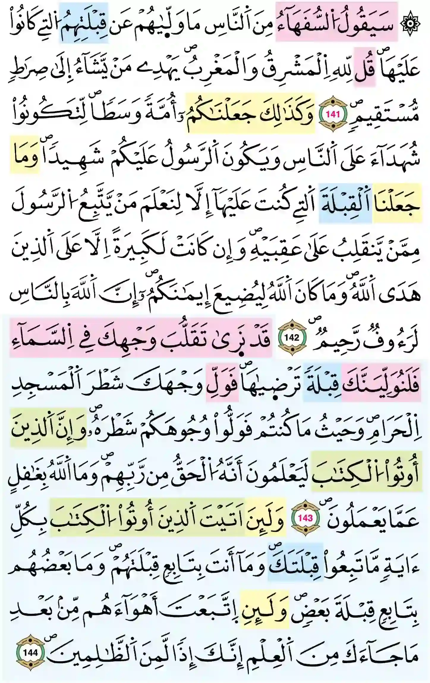 صفحة 22