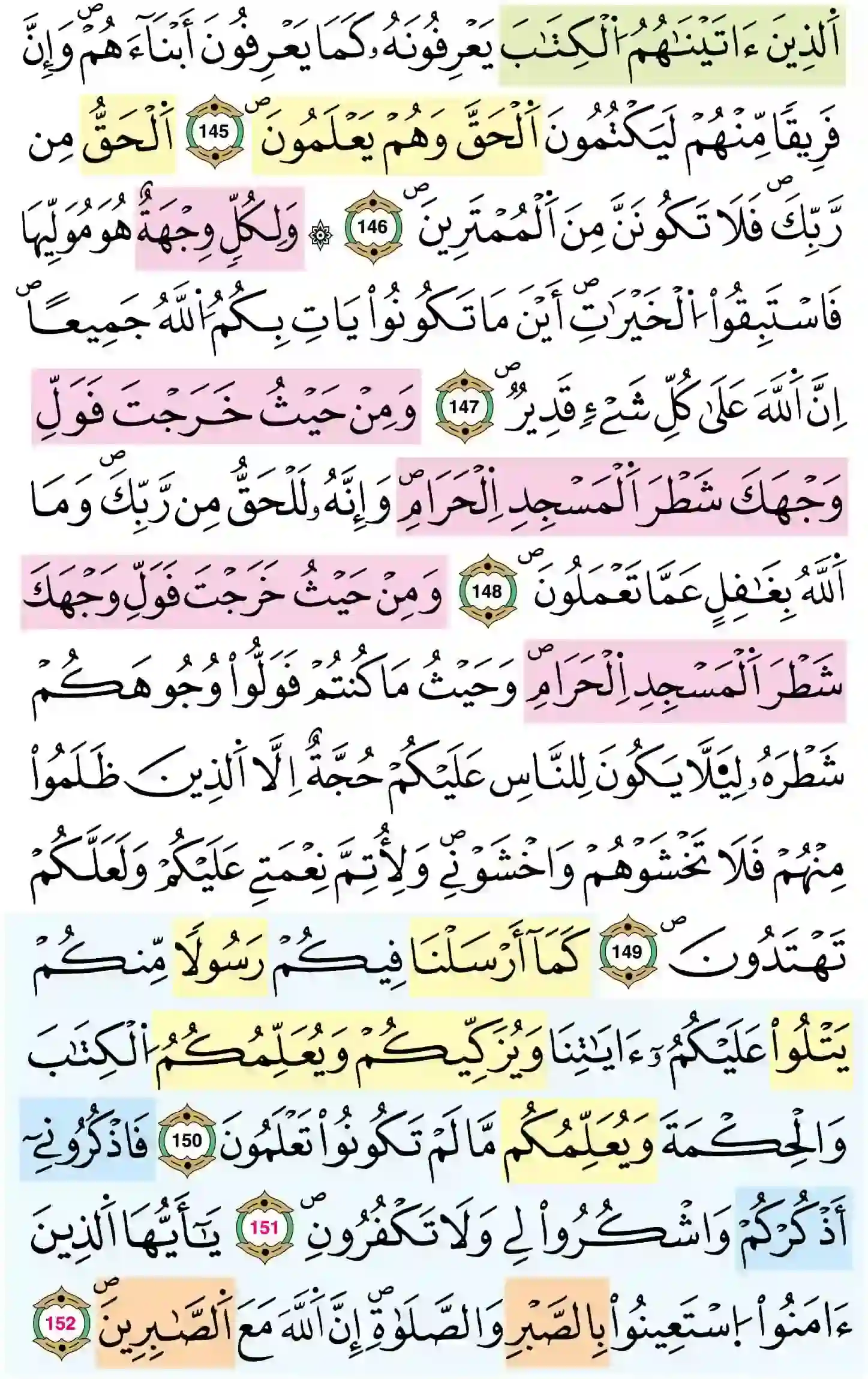 صفحة 23