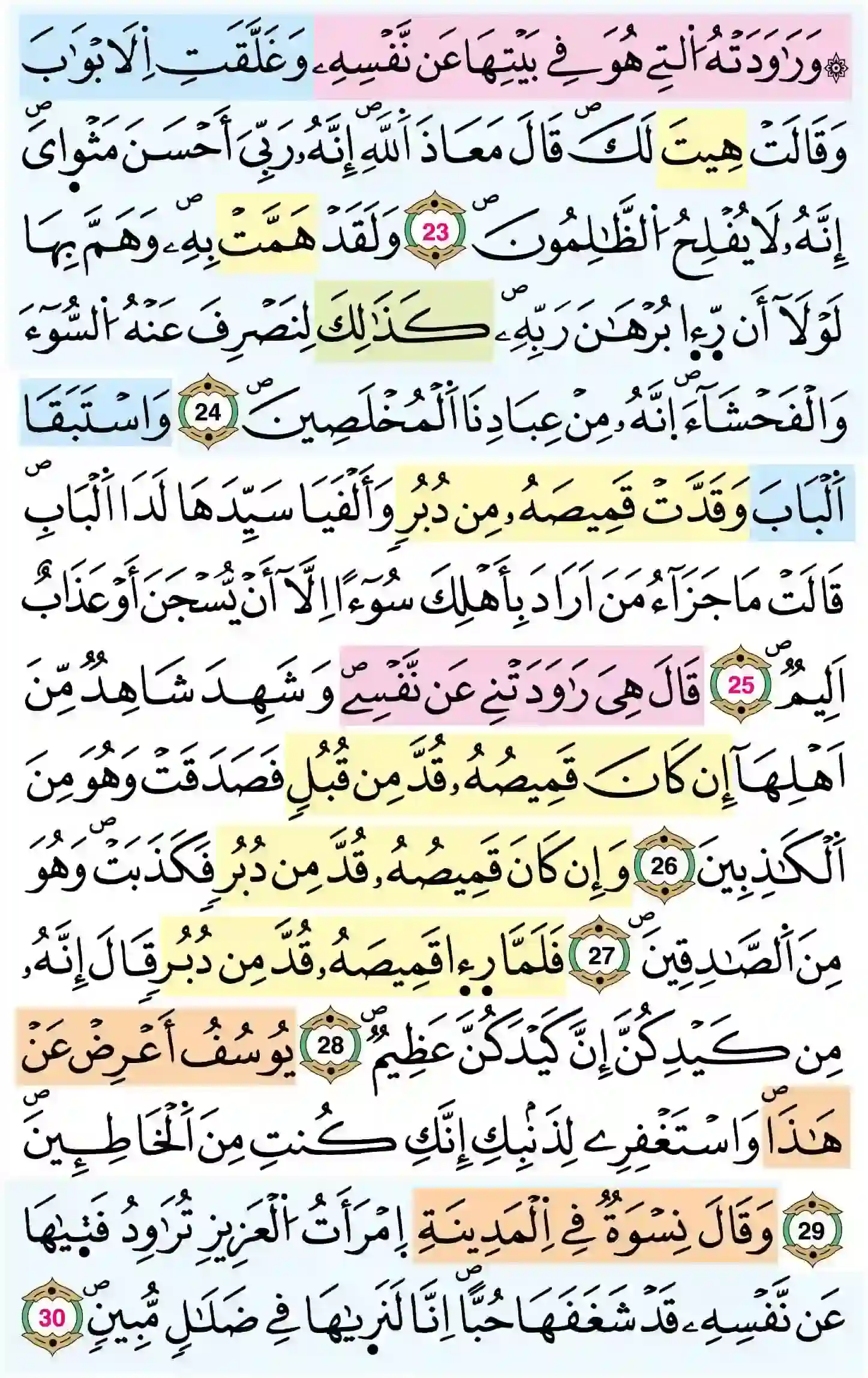 صفحة 238