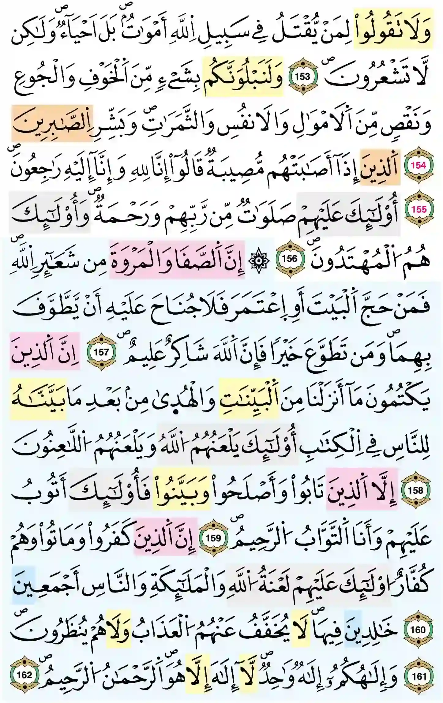 صفحة 24