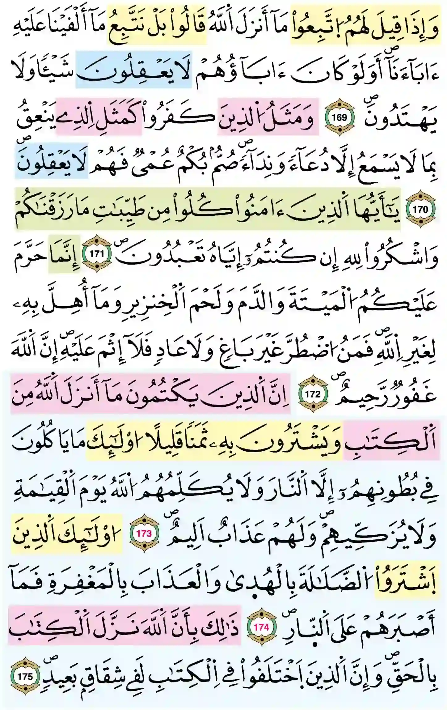 صفحة 26