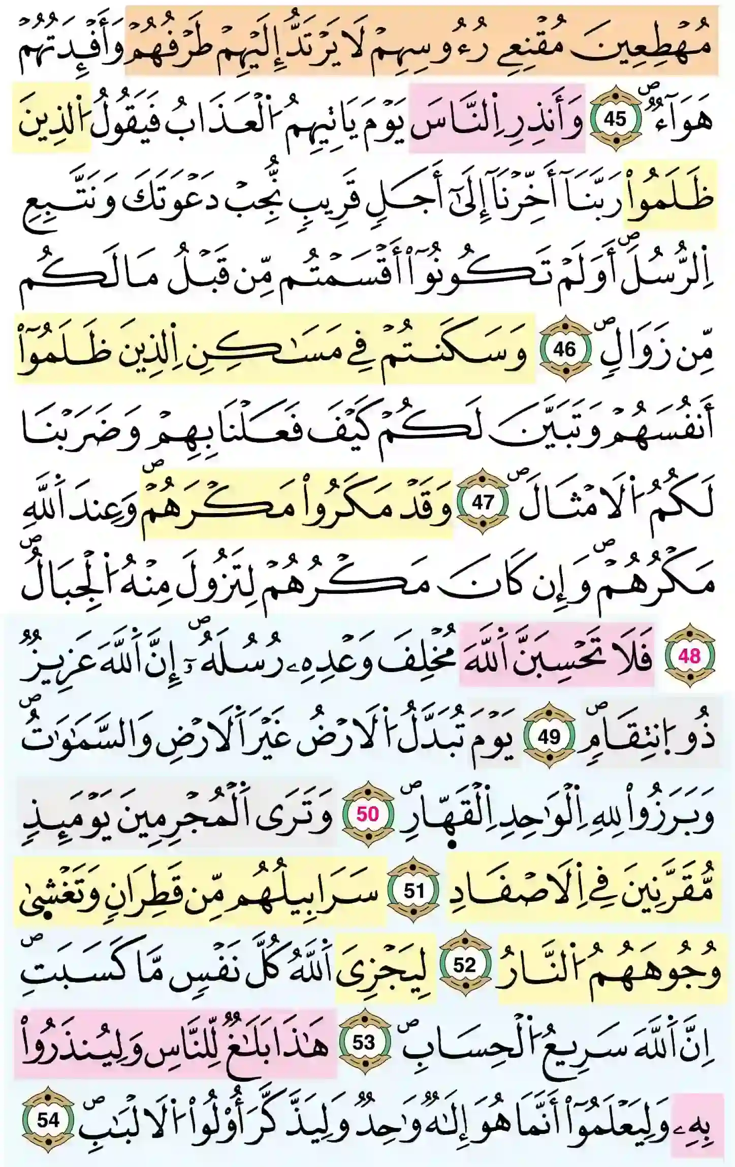 صفحة 261