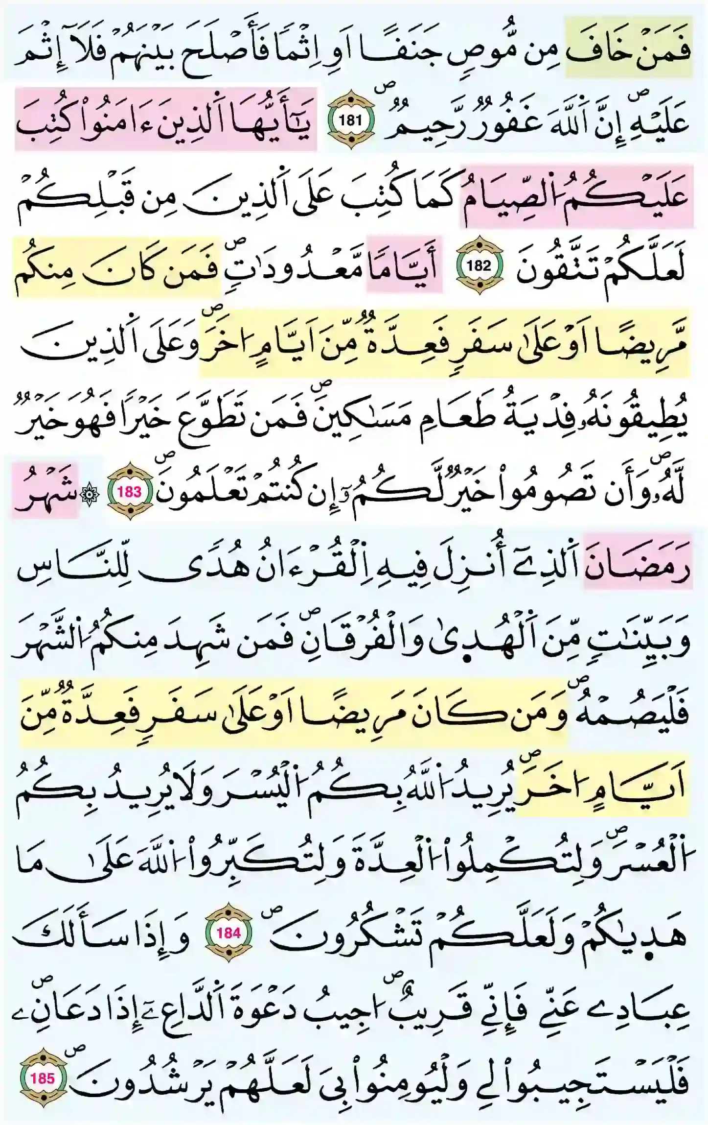 صفحة 28