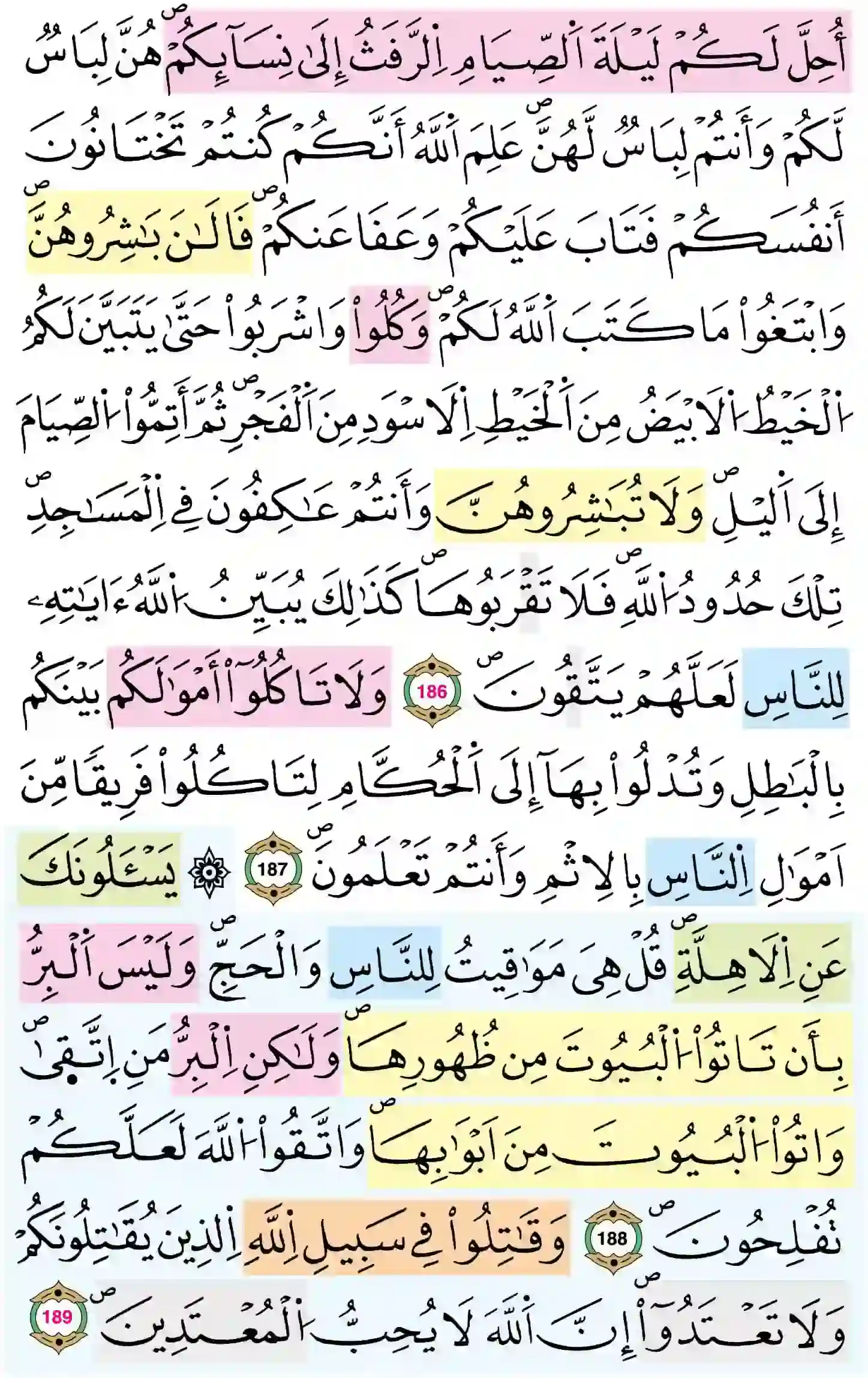 صفحة 29