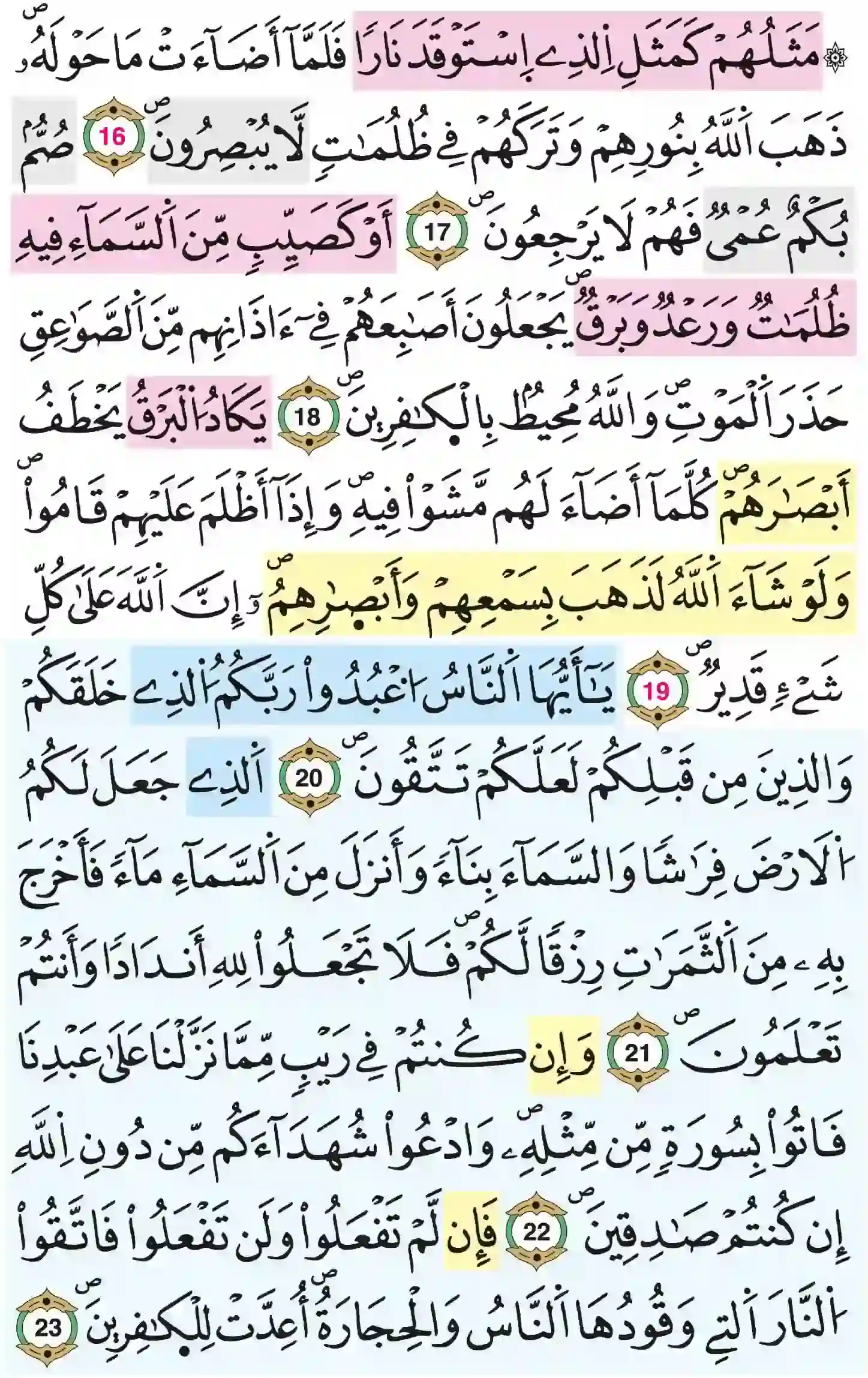 صفحة 4