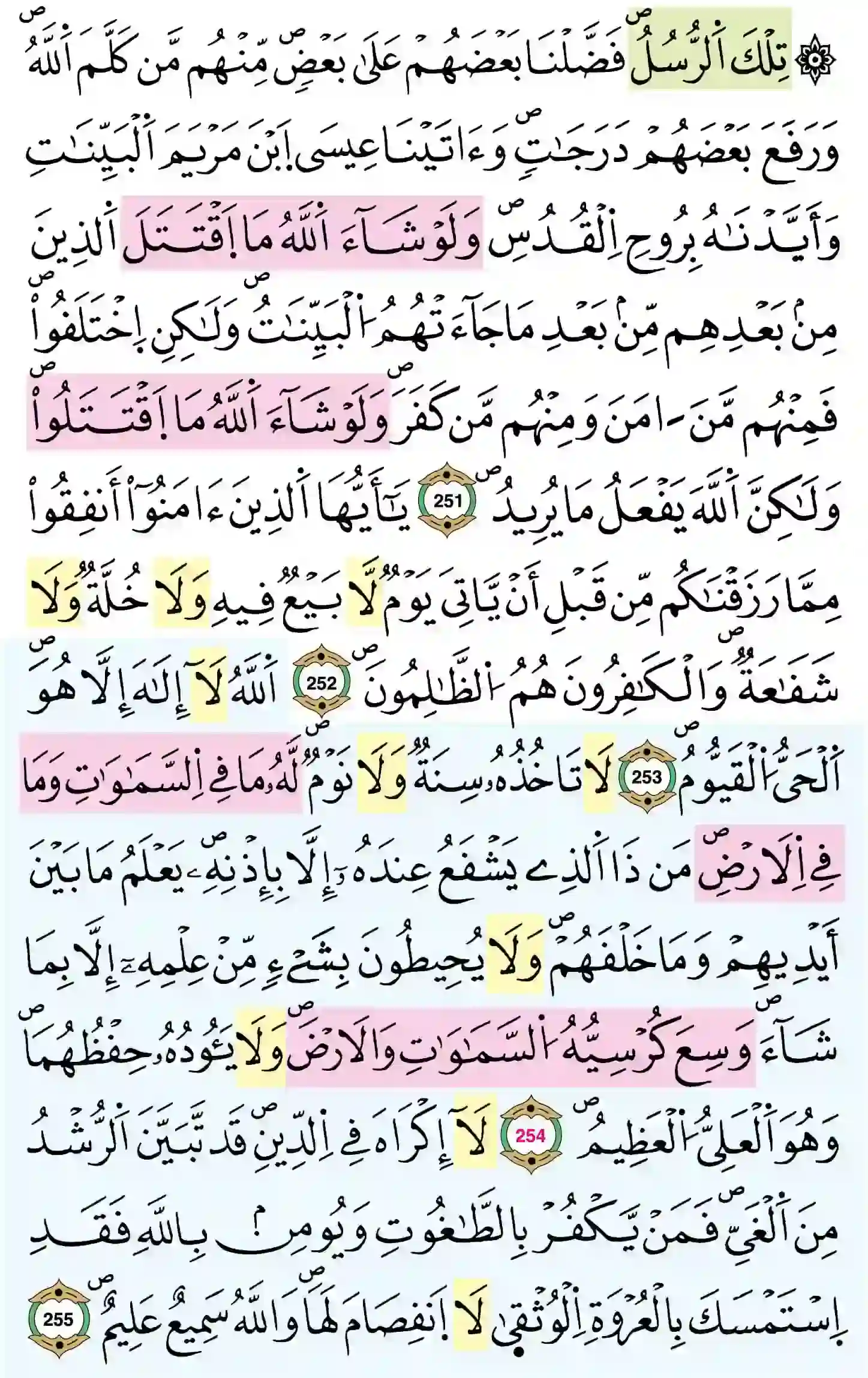 صفحة 42