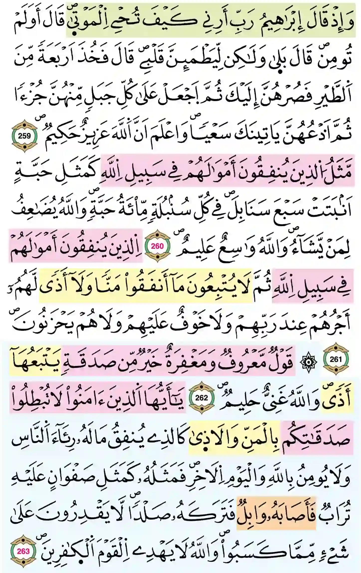 صفحة 44