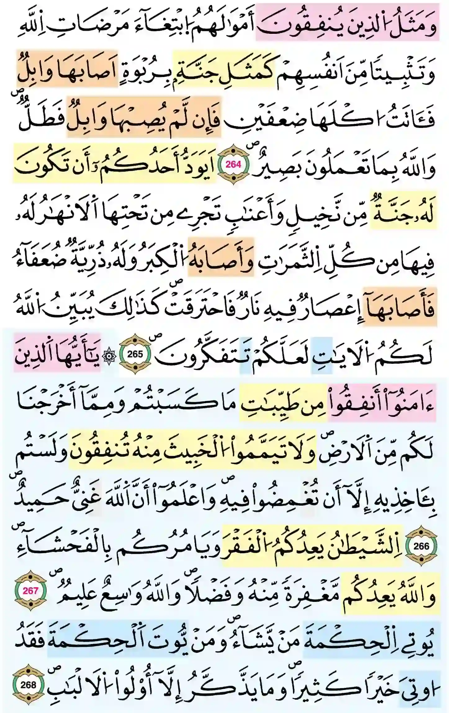 صفحة 45